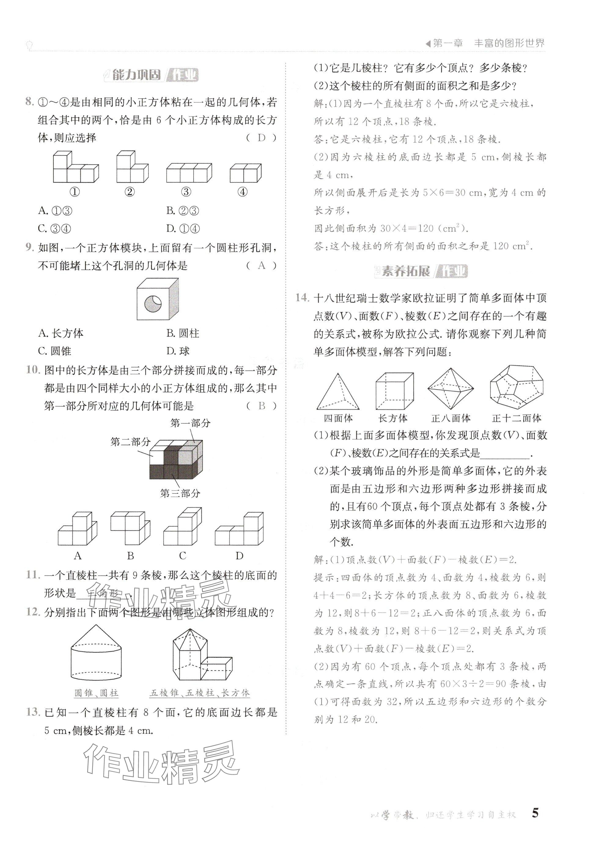 2024年金太陽導(dǎo)學(xué)案七年級(jí)數(shù)學(xué)上冊(cè)北師大版 參考答案第5頁(yè)