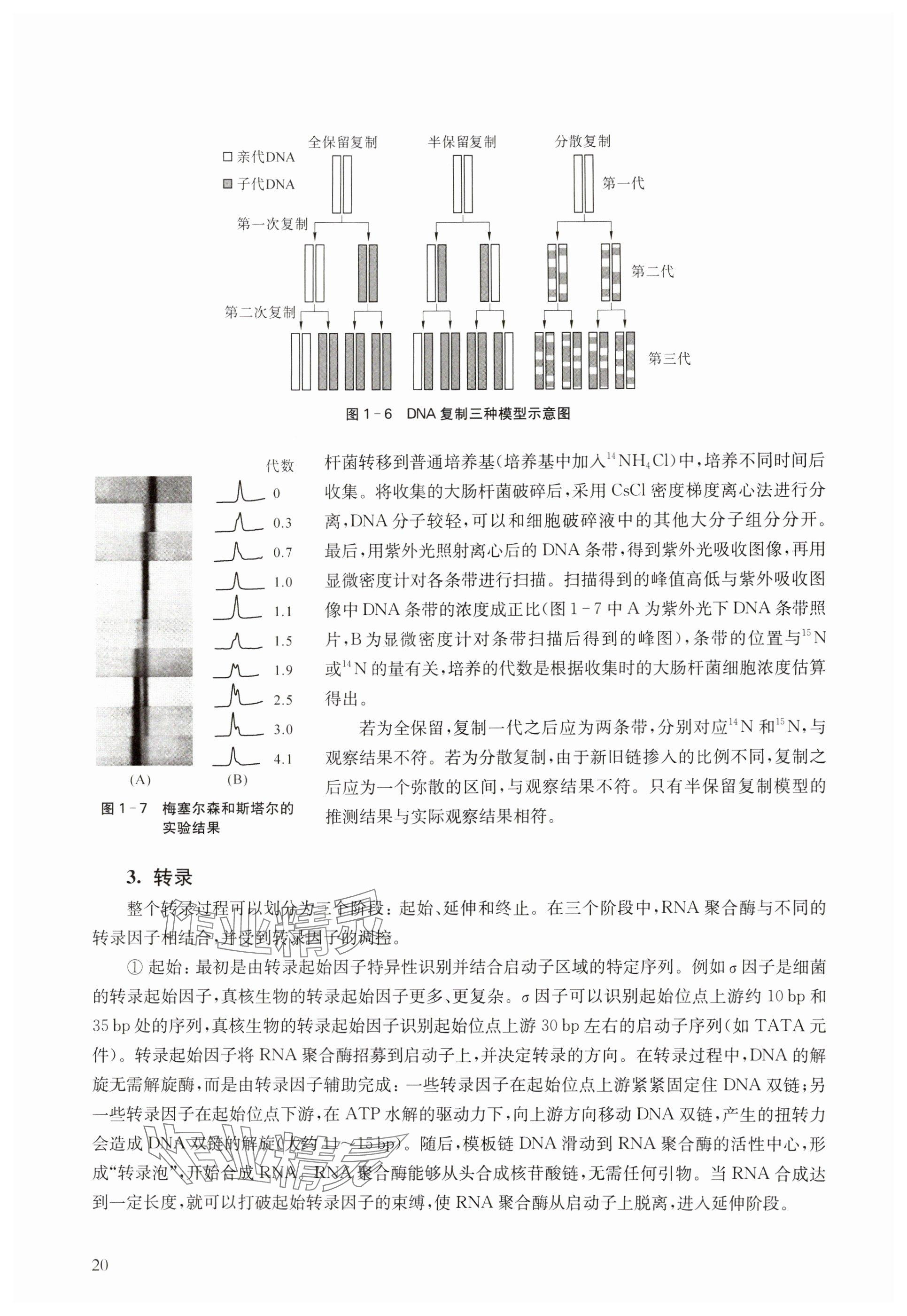 2024年教材課本高中生物必修2滬教版 參考答案第20頁