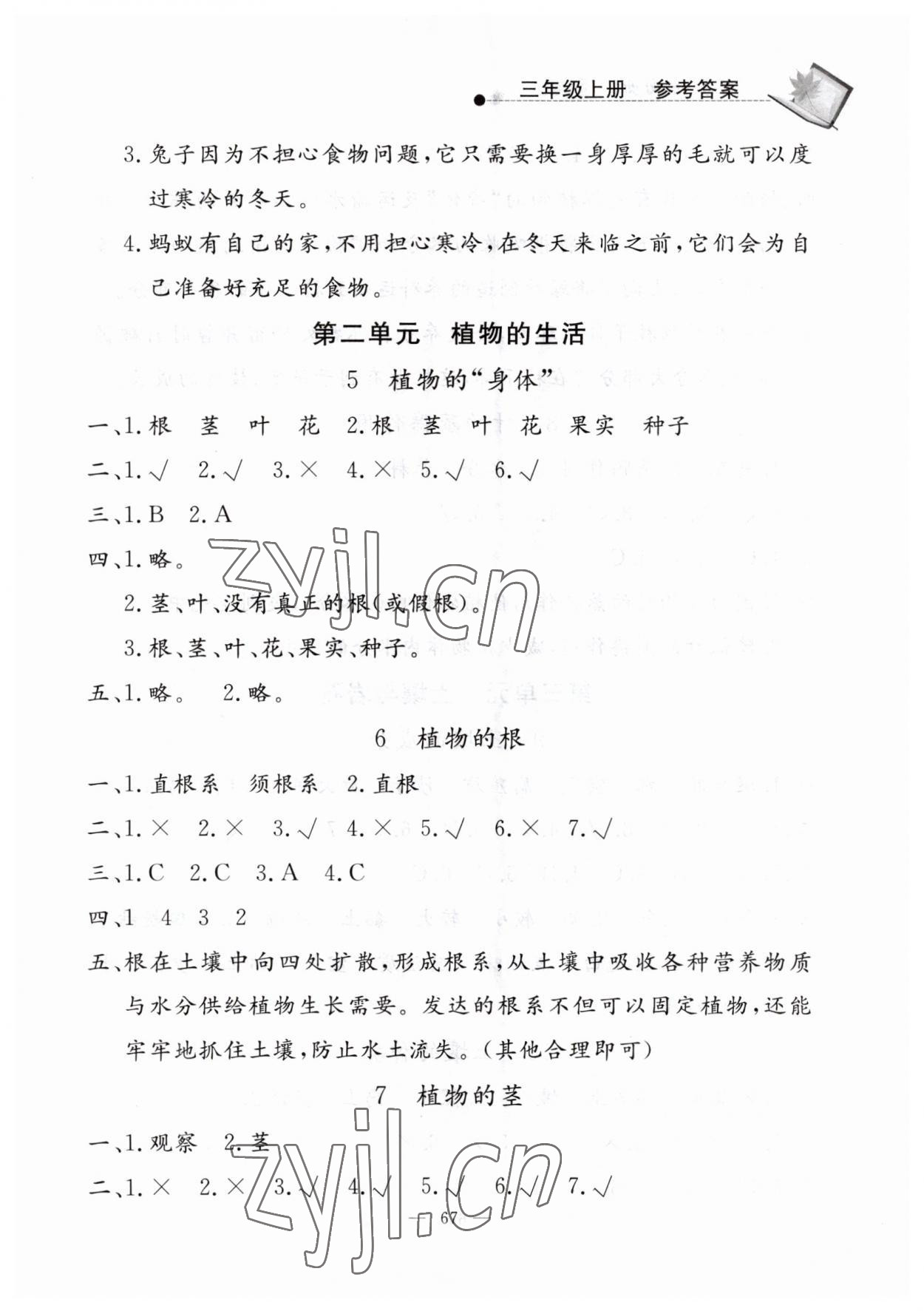 2023年同步練習冊山東科學技術出版社三年級科學上冊青島版 第3頁