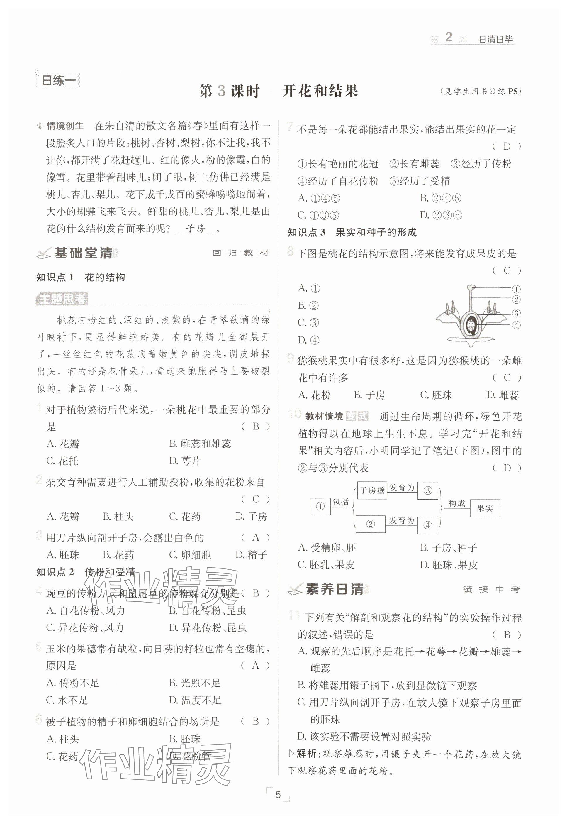 2025年日清周練七年級生物下冊人教版 參考答案第5頁
