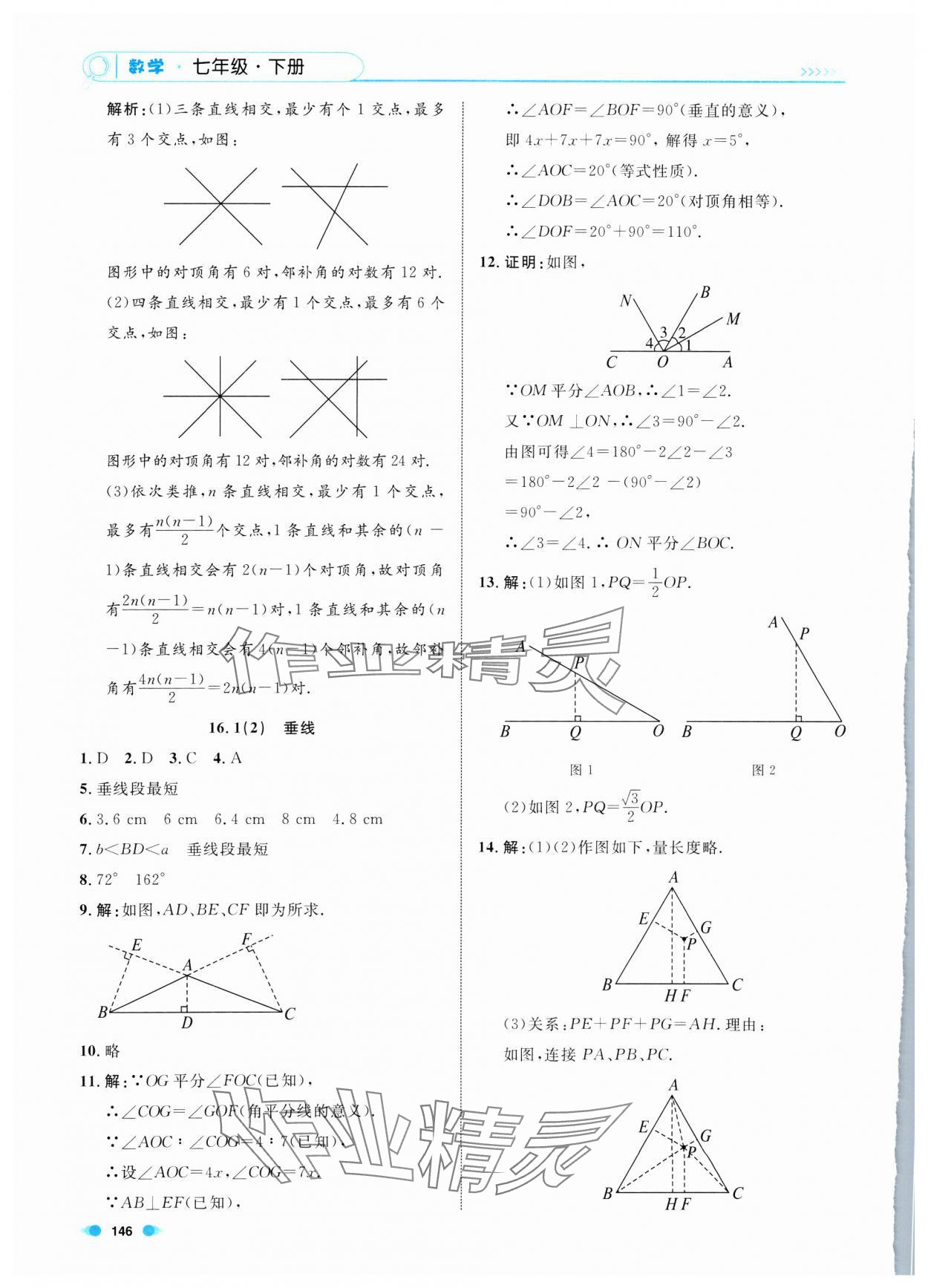 2025年上海作业七年级数学下册沪教版五四制 第6页