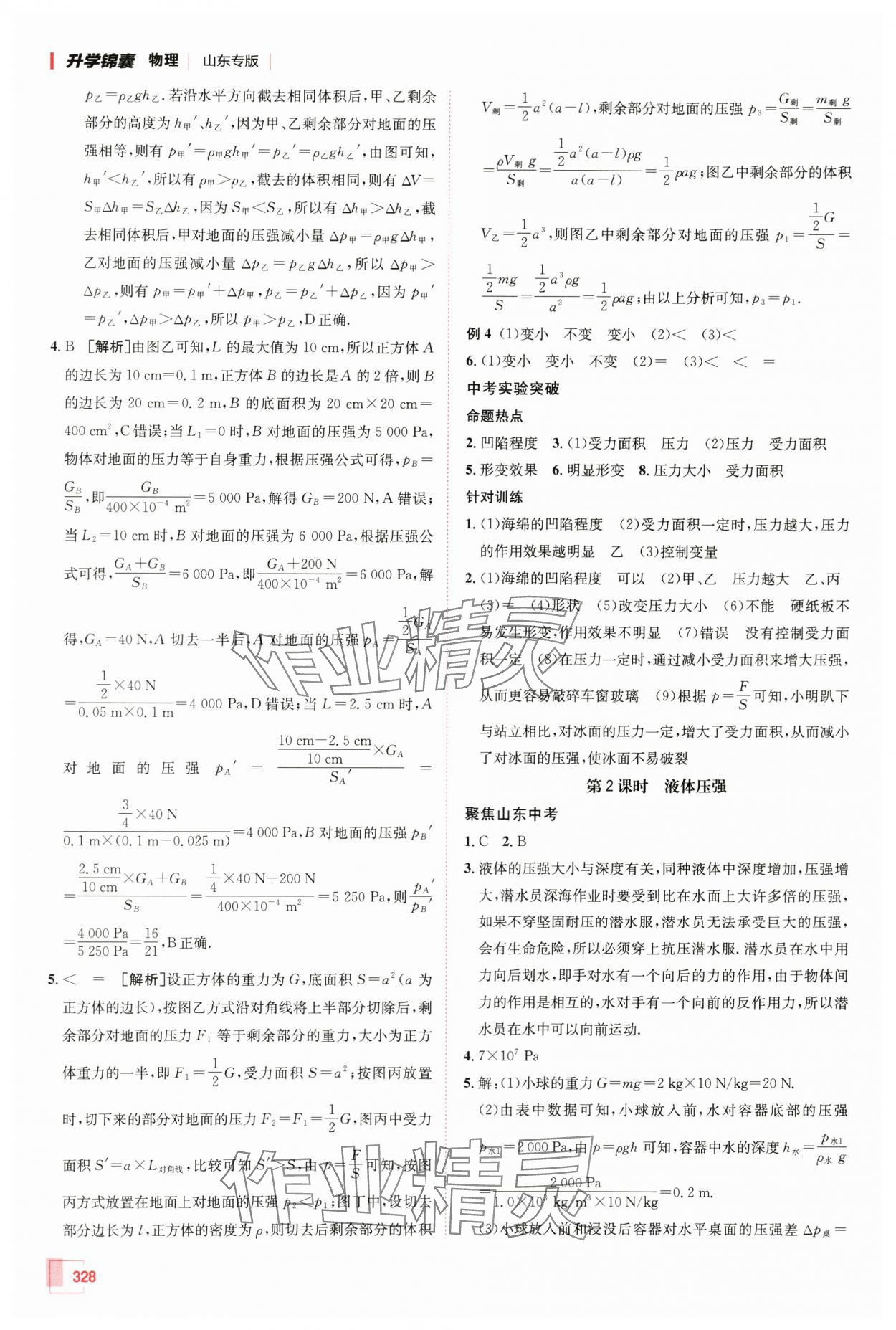 2024年升学锦囊物理山东专版 第18页