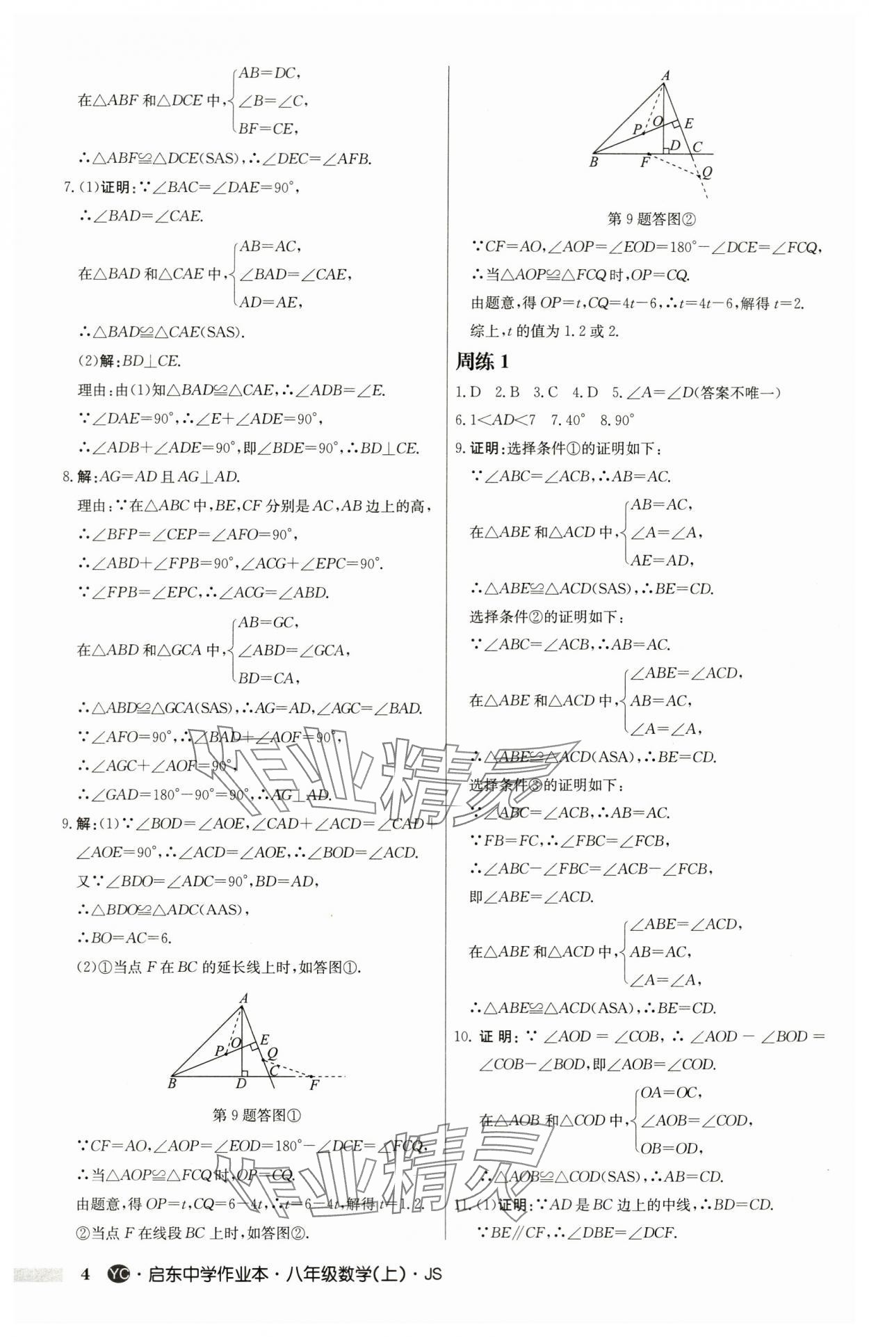 2024年启东中学作业本八年级数学上册苏科版盐城专版 第4页