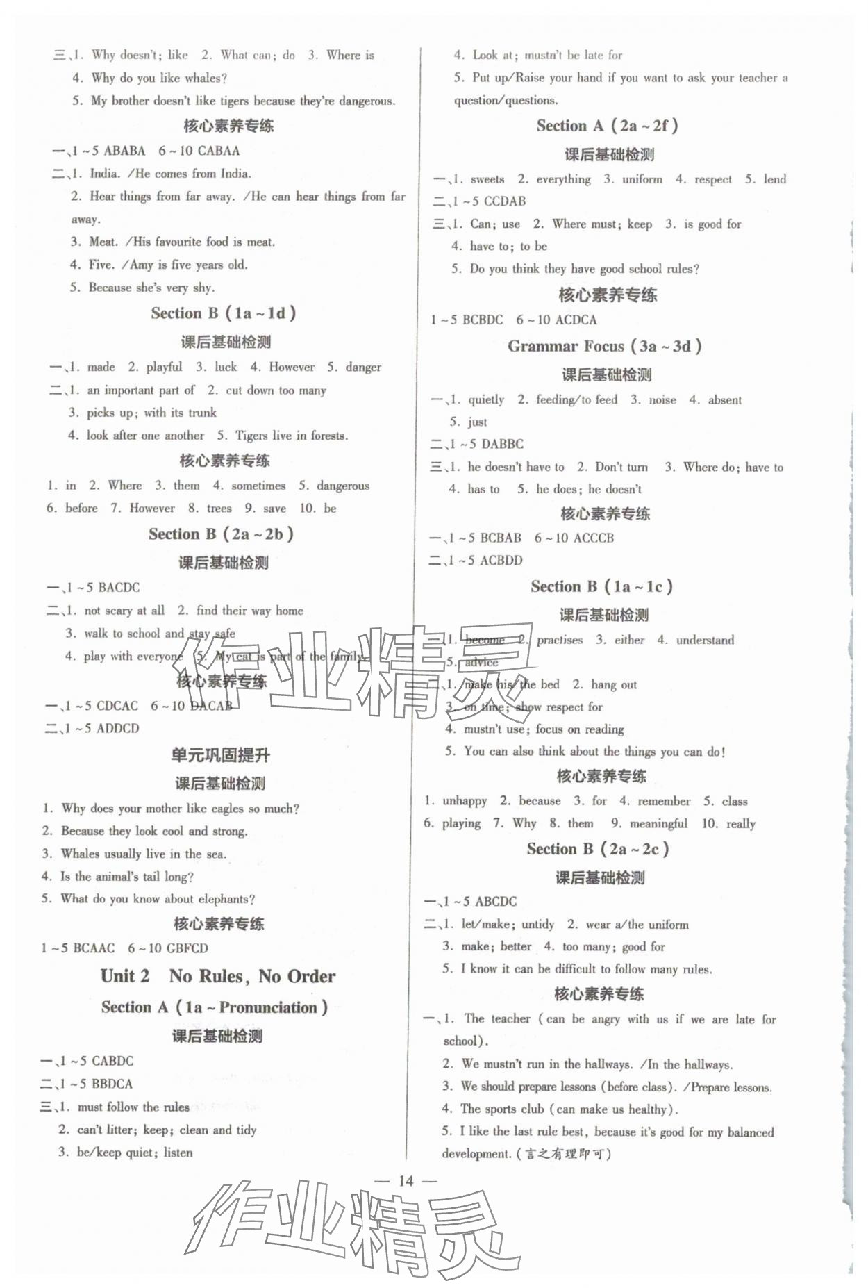 2025年領(lǐng)跑作業(yè)本七年級(jí)英語(yǔ)下冊(cè)人教版廣東專(zhuān)版 參考答案第14頁(yè)