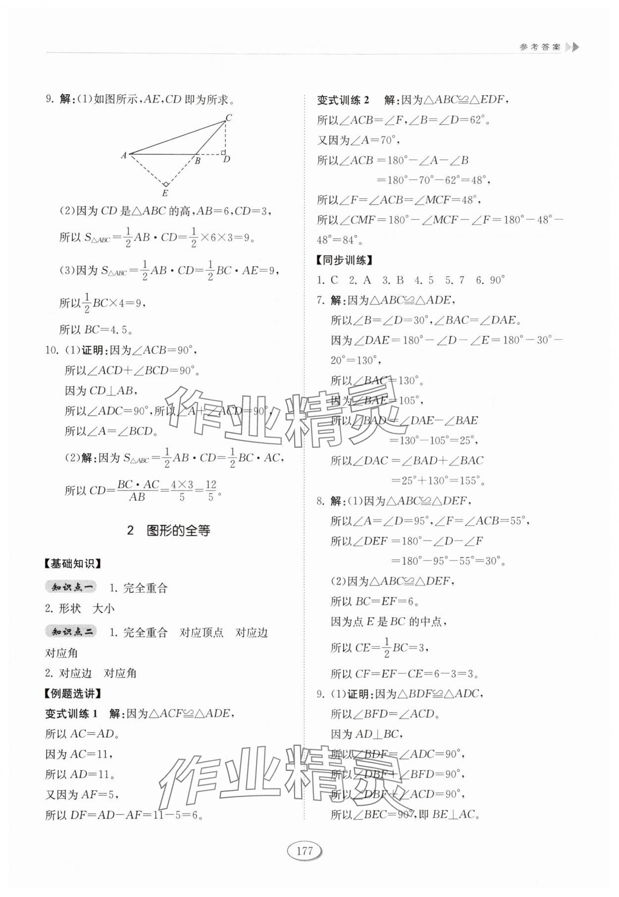 2025年同步练习册山东科学技术出版社七年级数学上册鲁教版五四制 参考答案第5页