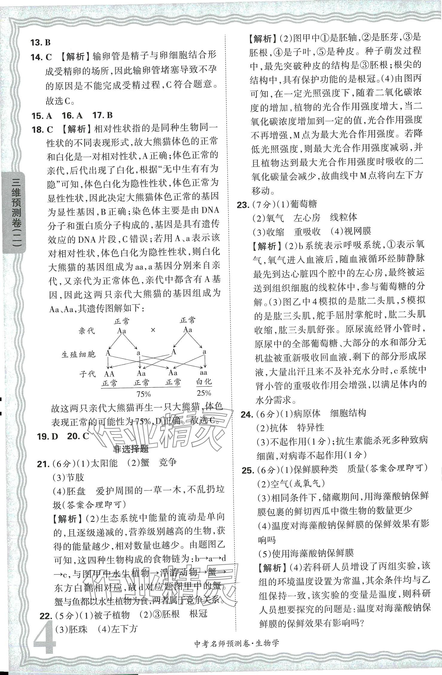 2024年王朝霞中考名師預(yù)測卷生物河南專版 第4頁