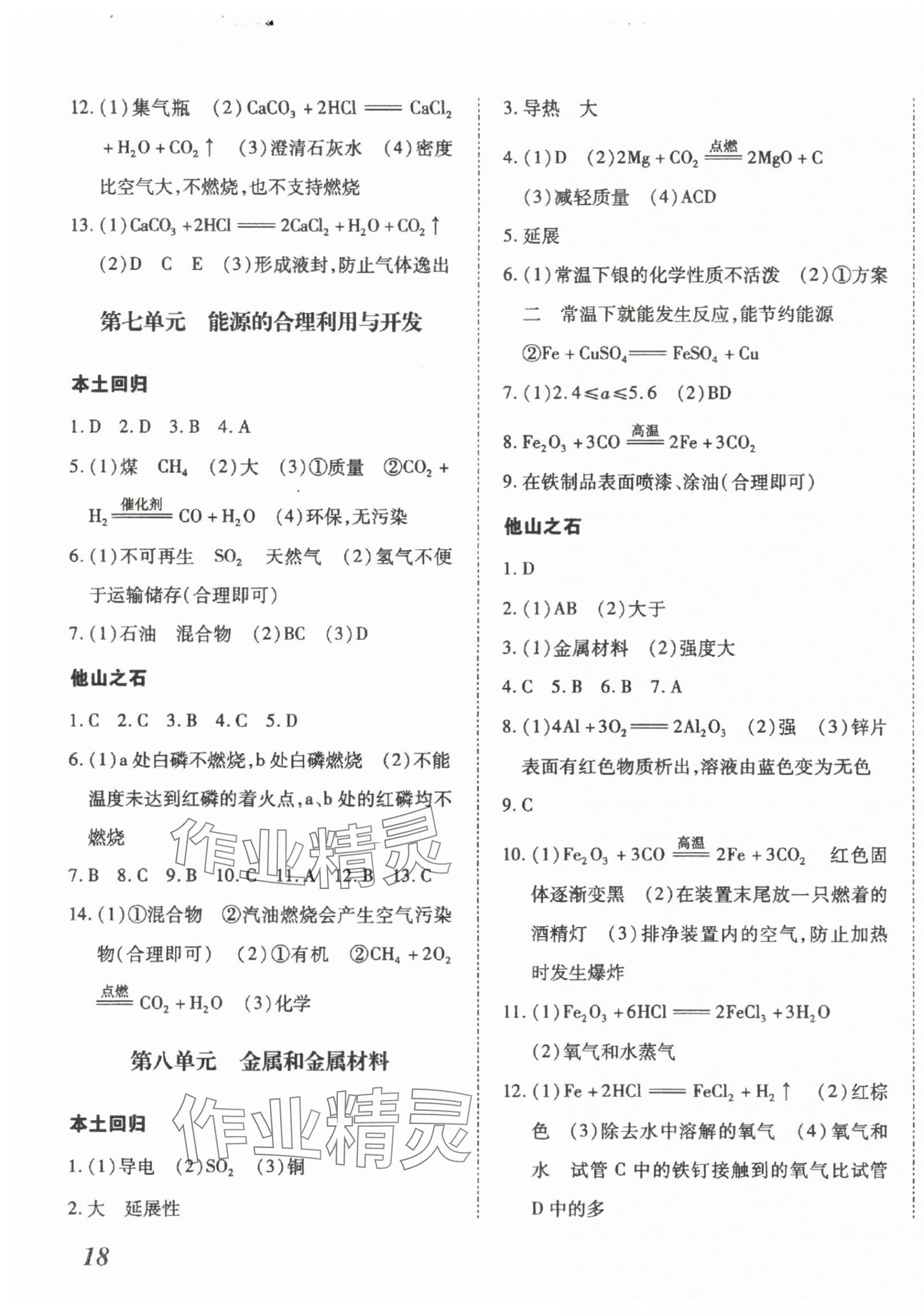 2025年本土攻略精準(zhǔn)復(fù)習(xí)方案化學(xué)中考云南專版 第3頁