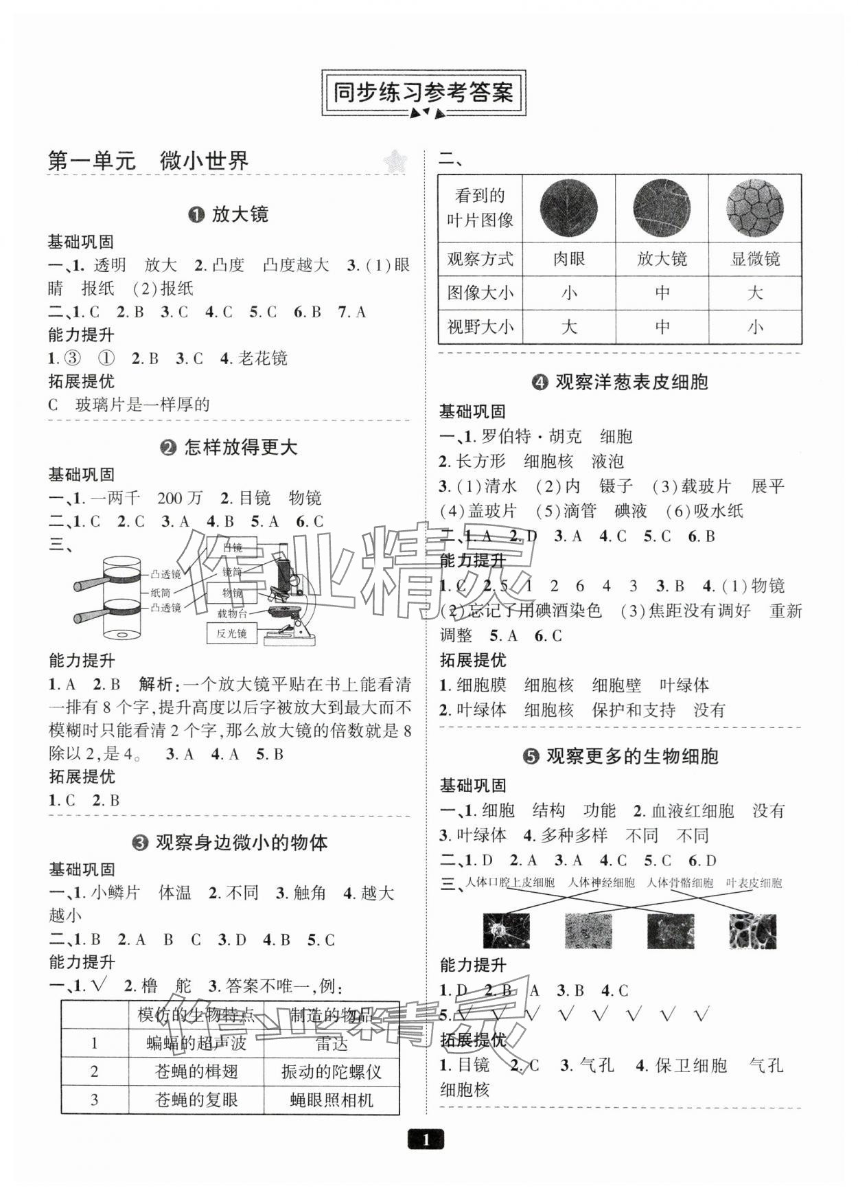 2024年勵耘書業(yè)勵耘新同步六年級科學(xué)上冊教科版 第1頁