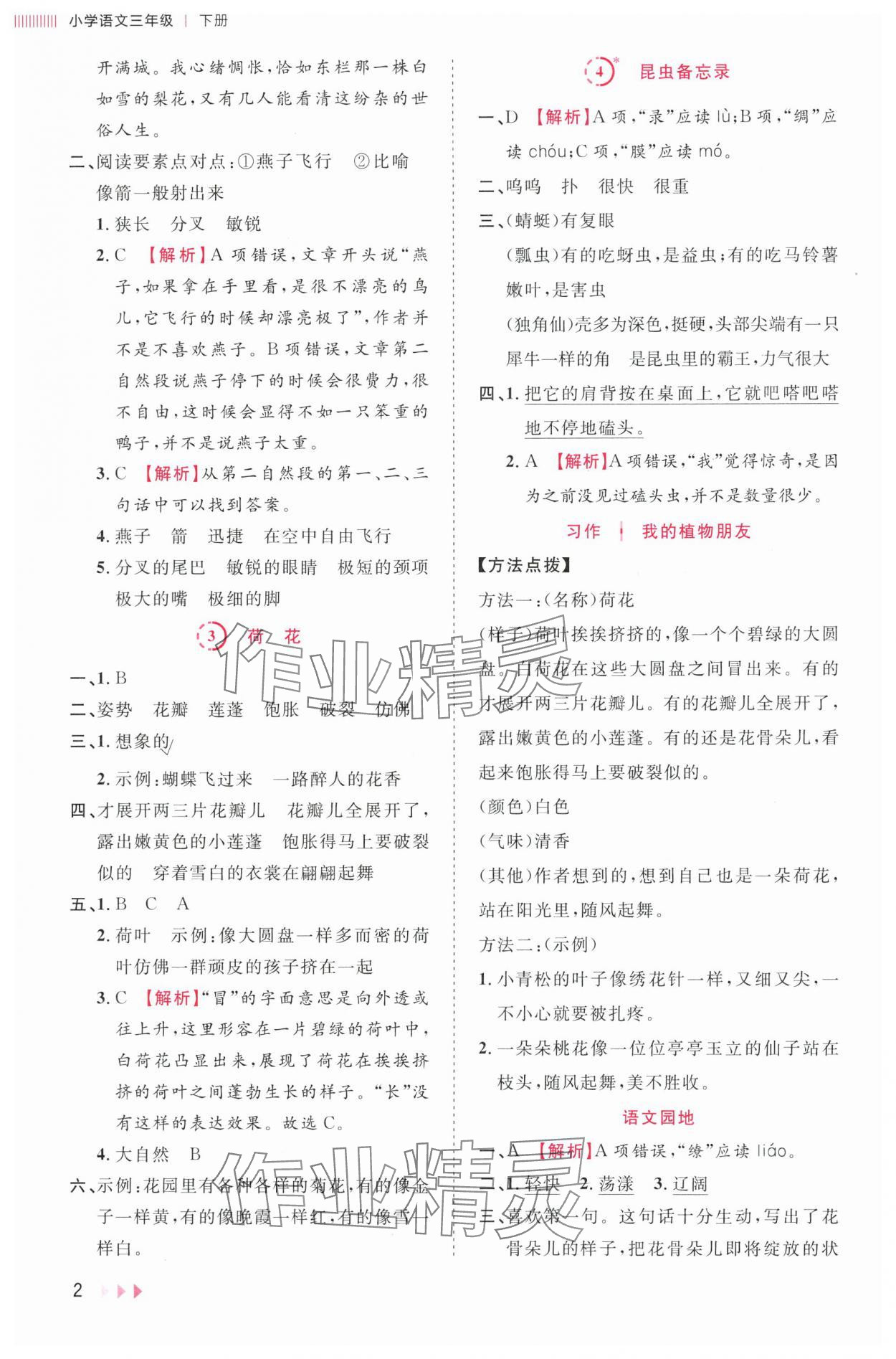 2024年訓練達人三年級語文下冊人教版 第2頁