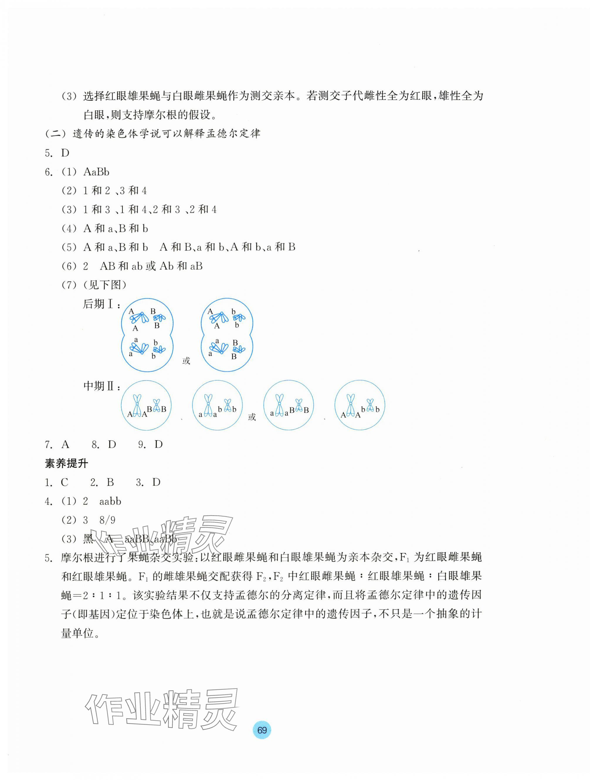 2025年作業(yè)本浙江教育出版社高中生物必修2雙色版浙科版 第5頁