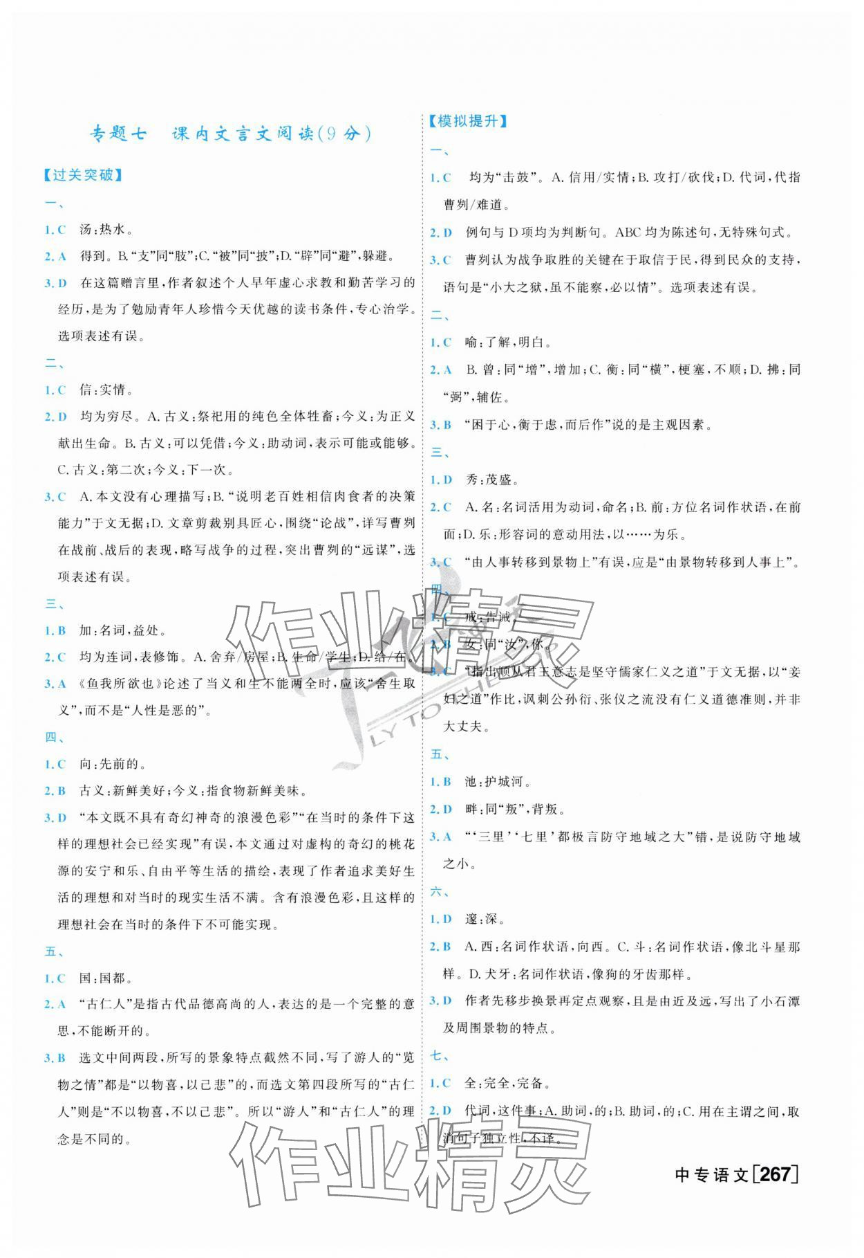 2025年一飛沖天中考專項(xiàng)精品試題分類語文 參考答案第11頁