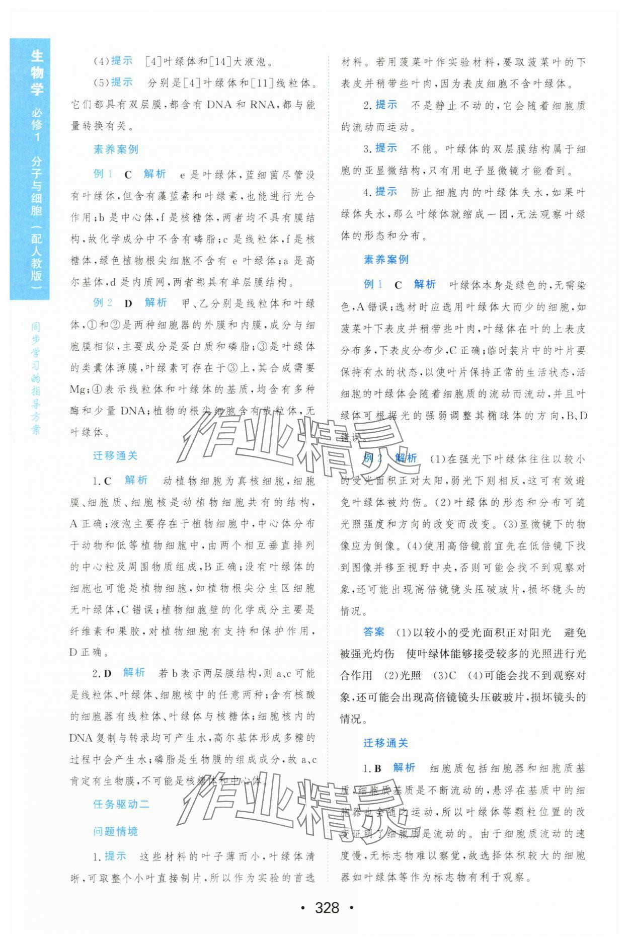 2023年新课程学习与测评生物必修1人教版 参考答案第19页