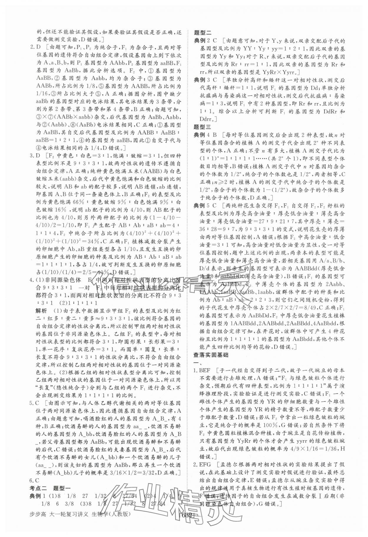 2025年步步高大一輪復習講義高中生物 第24頁