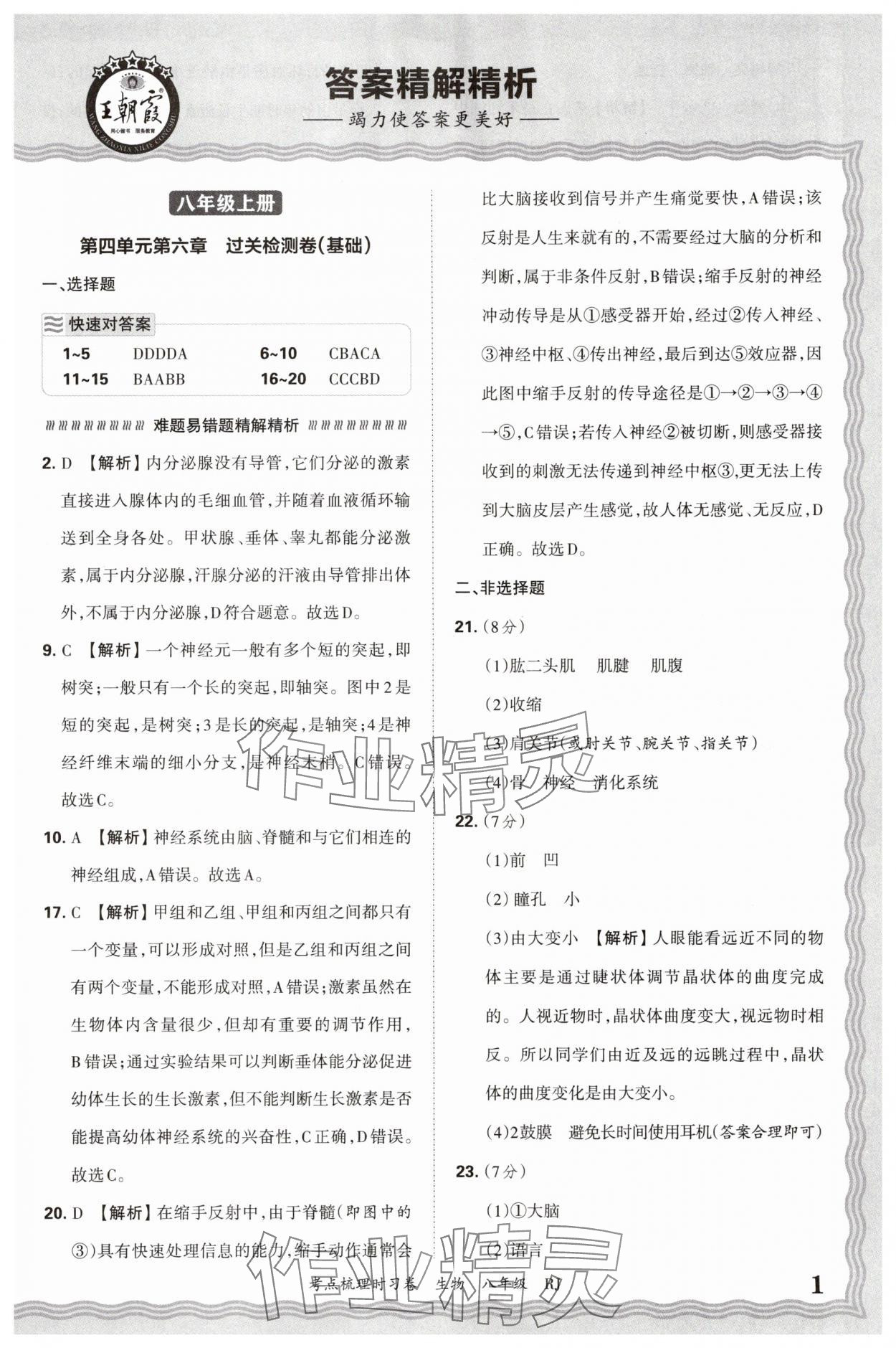 2026年王朝霞考點(diǎn)梳理時習(xí)卷八年級生物人教版 第1頁