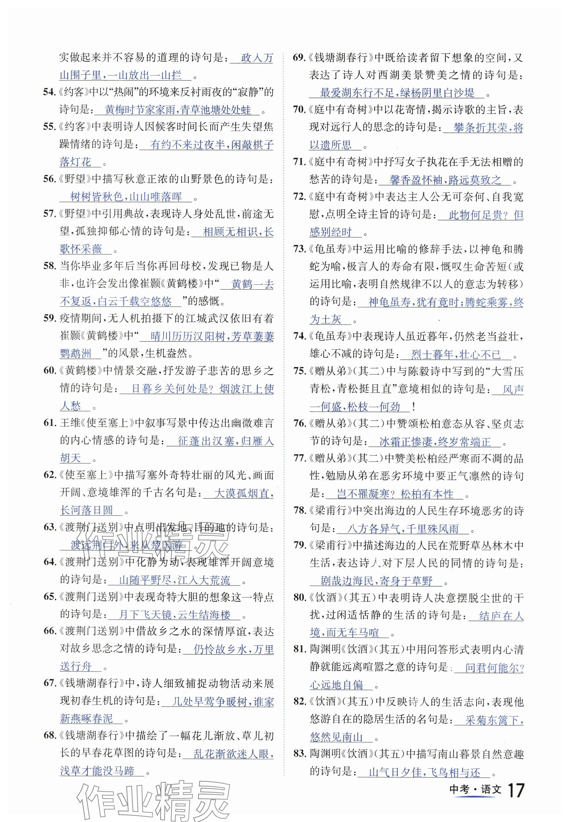 2024年国华图书中考拐点语文南充专版 参考答案第17页