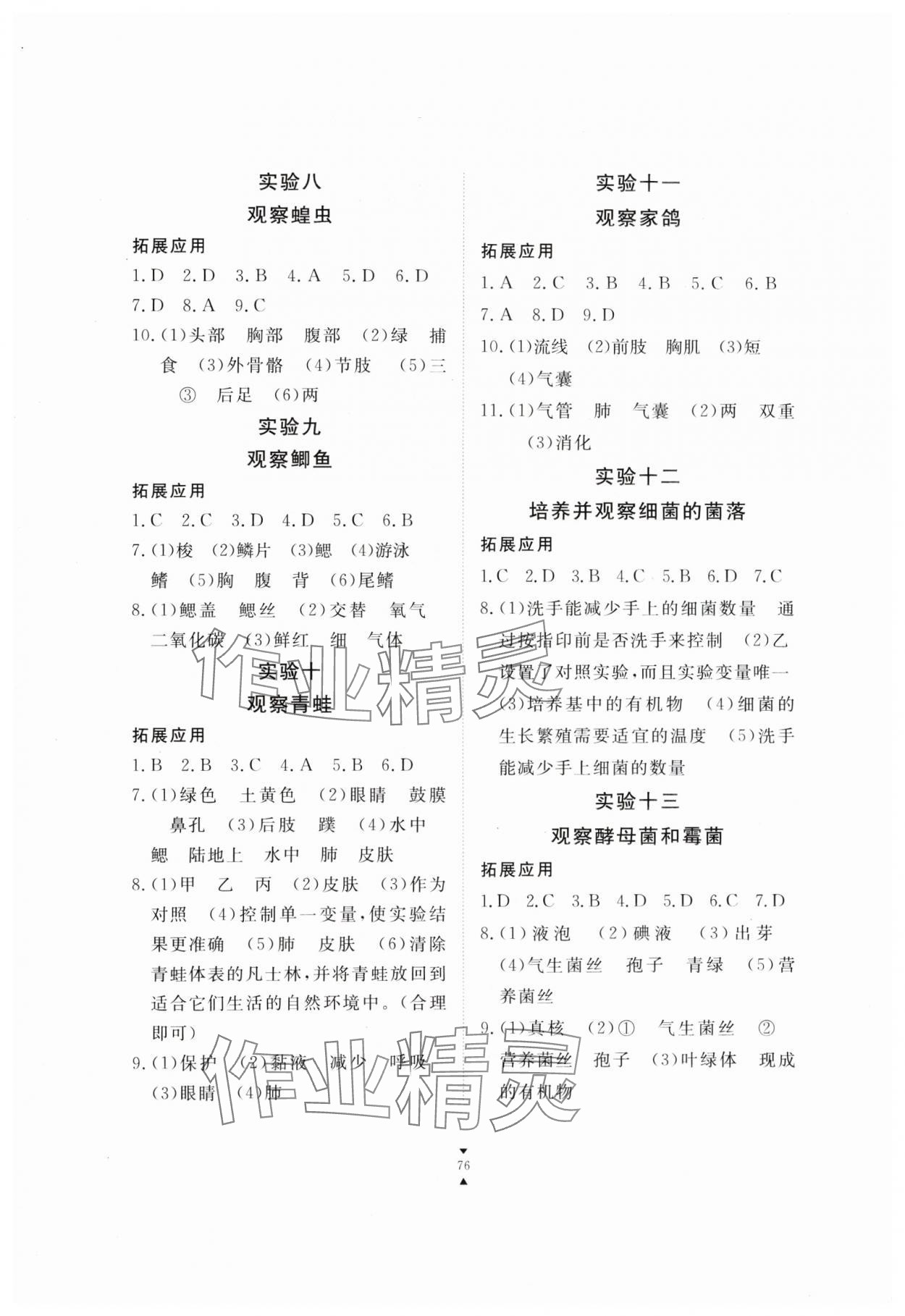 2024年实验报告册江西教育出版社七年级生物上册冀少版 第2页