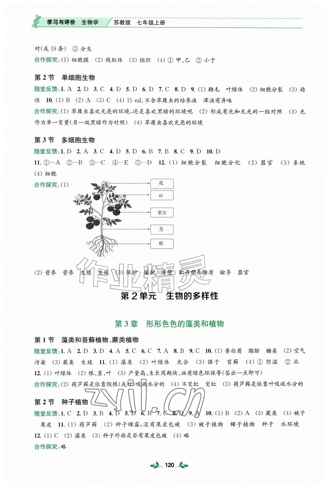 2026年学习与评价江苏凤凰教育出版社七年级生物上册苏教版河南专版&nbsp;第2页