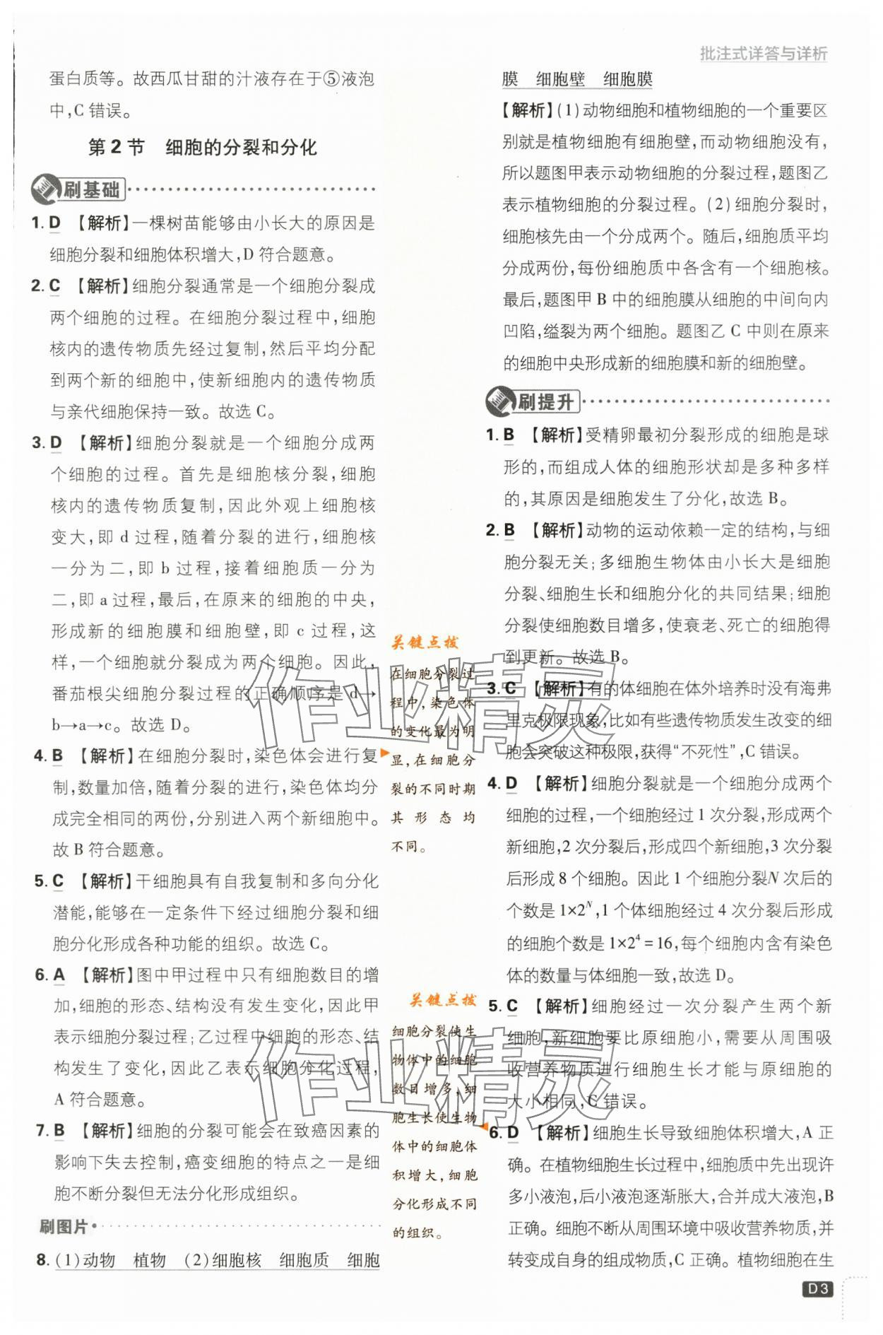 2024年初中必刷題七年級生物下冊蘇教版 第3頁