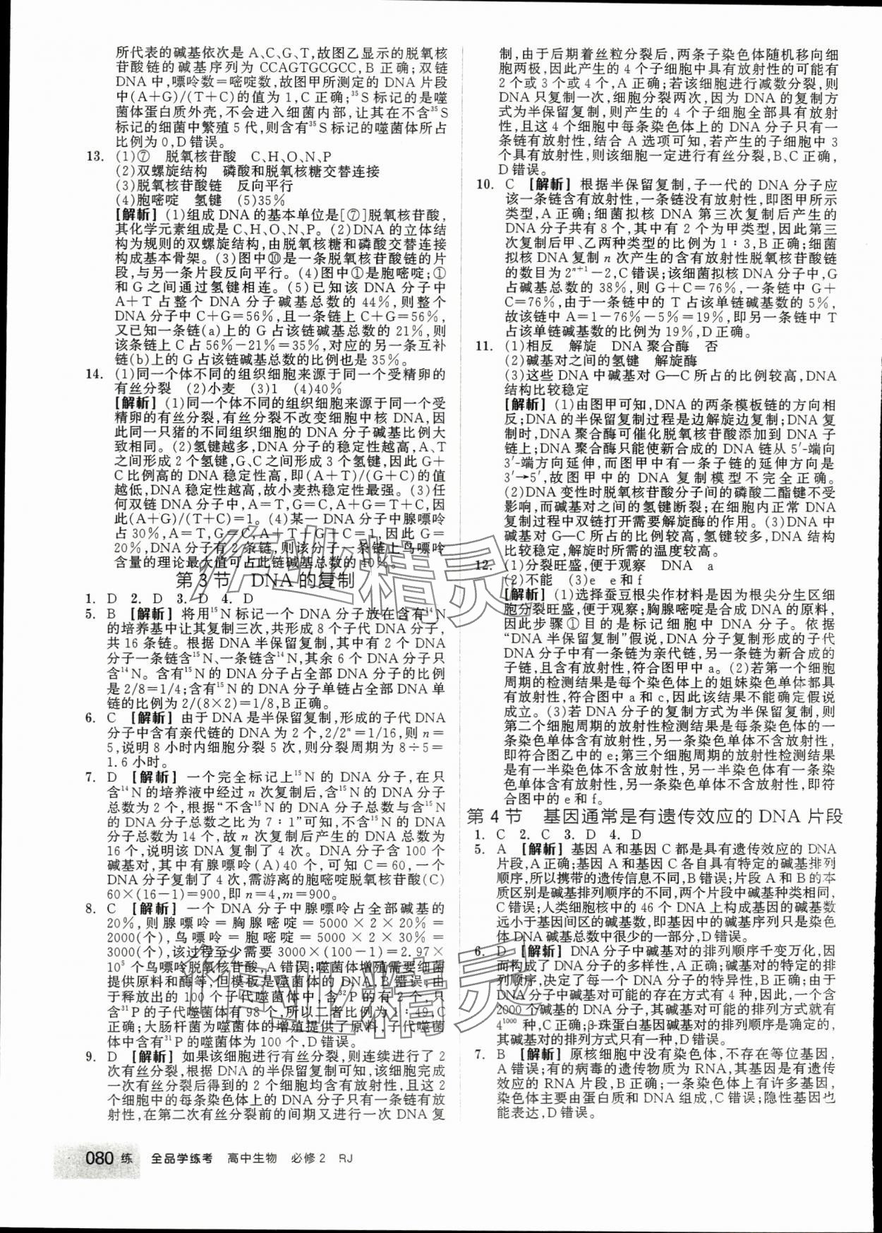 2024年全品學(xué)練考高中生物必修2人教版 第14頁(yè)