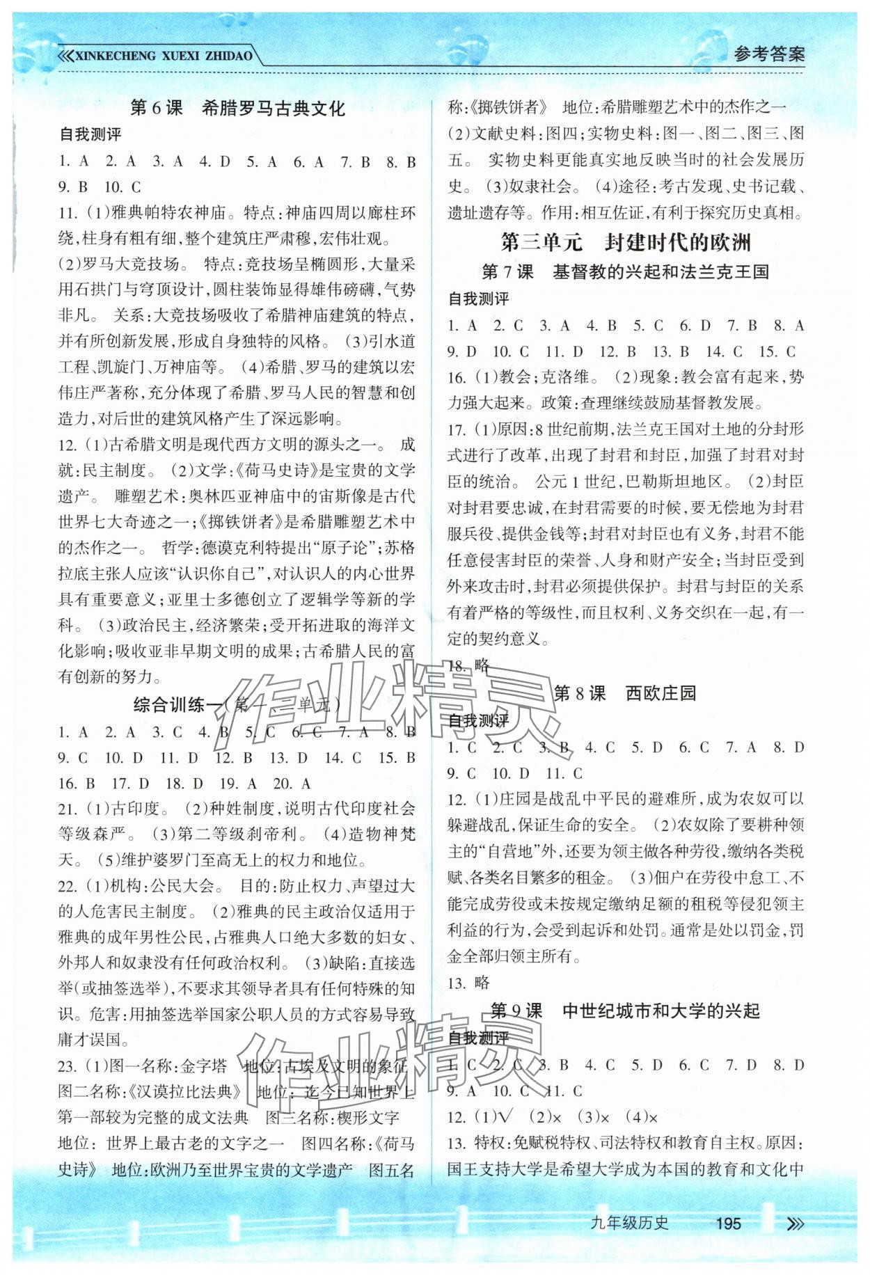 2025年新课程学习指导南方出版社九年级历史人教版 参考答案第2页