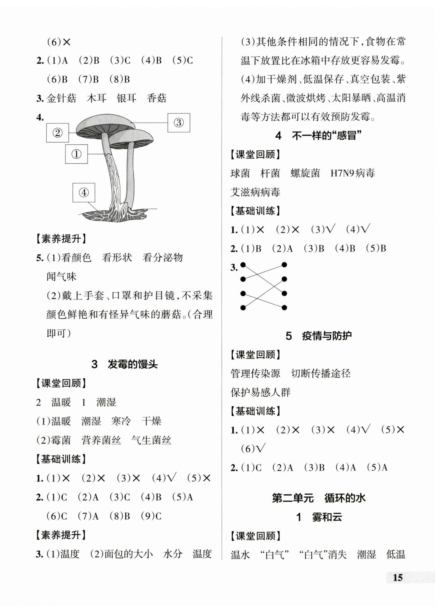 2024年小學(xué)學(xué)霸作業(yè)本六年級科學(xué)上冊大象版河南專版 參考答案第2頁