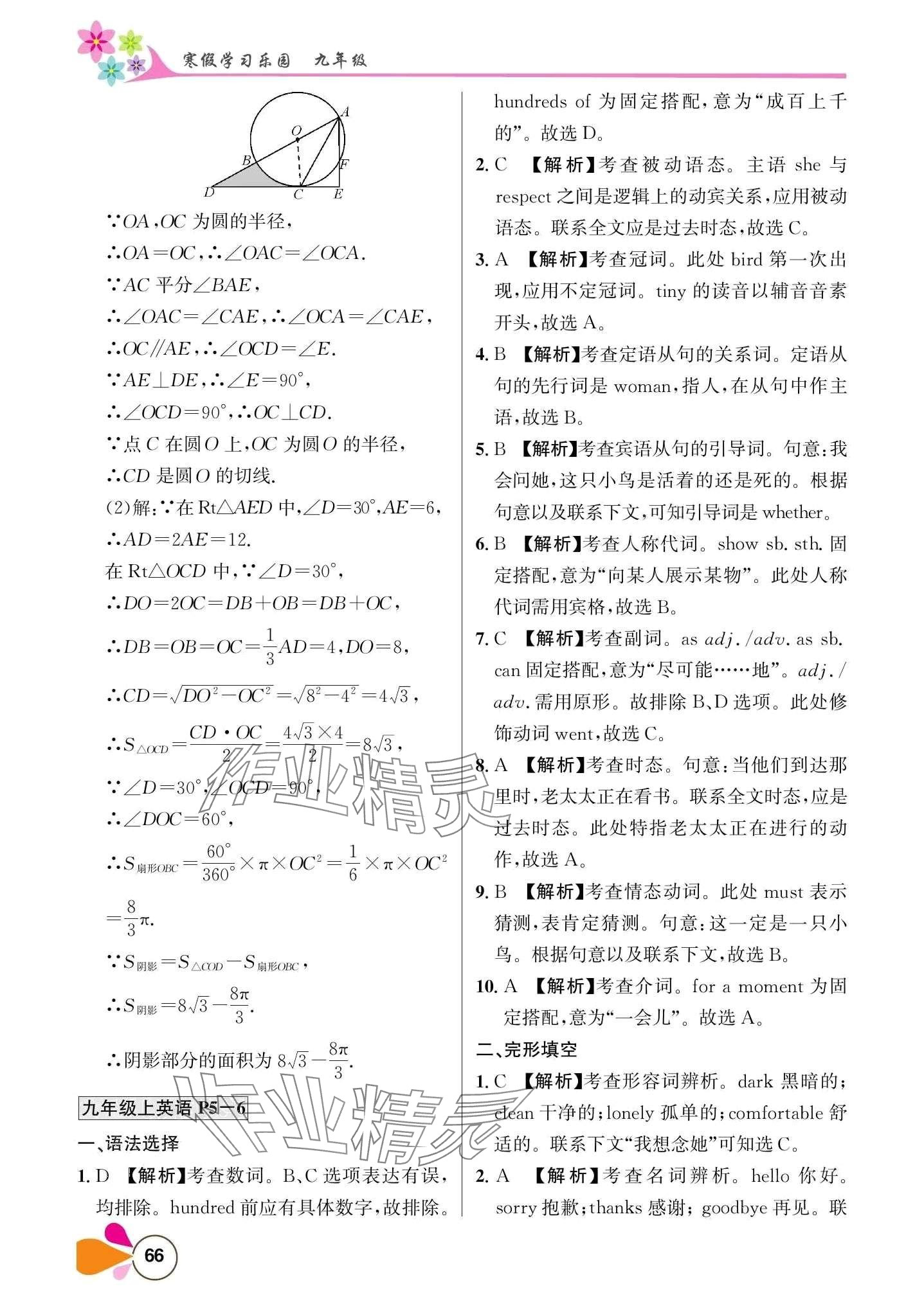 2024年寒假学习乐园南方出版社九年级 第2页