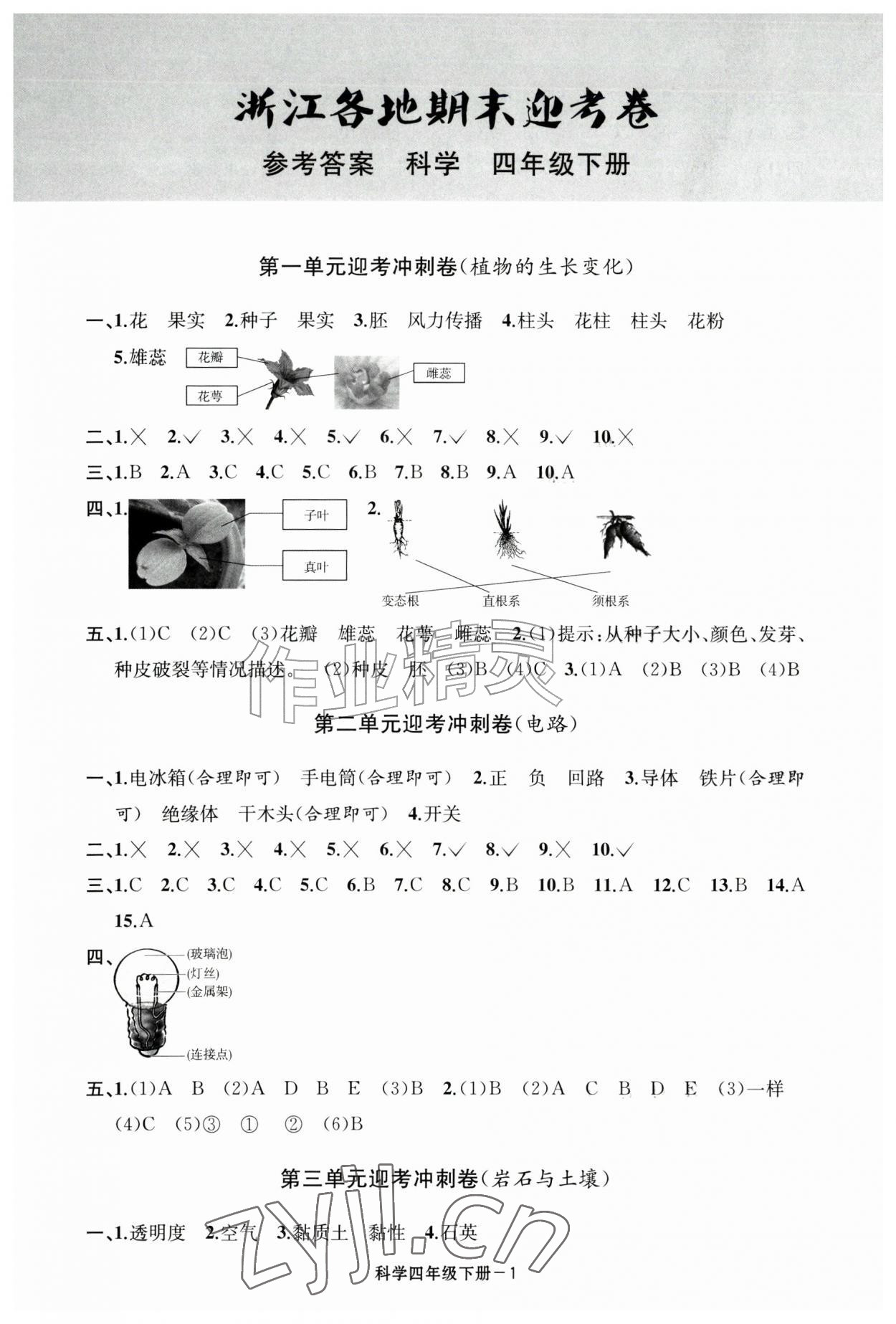 2026年浙江各地期末迎考卷四年级科学下册教科版&nbsp;第1页