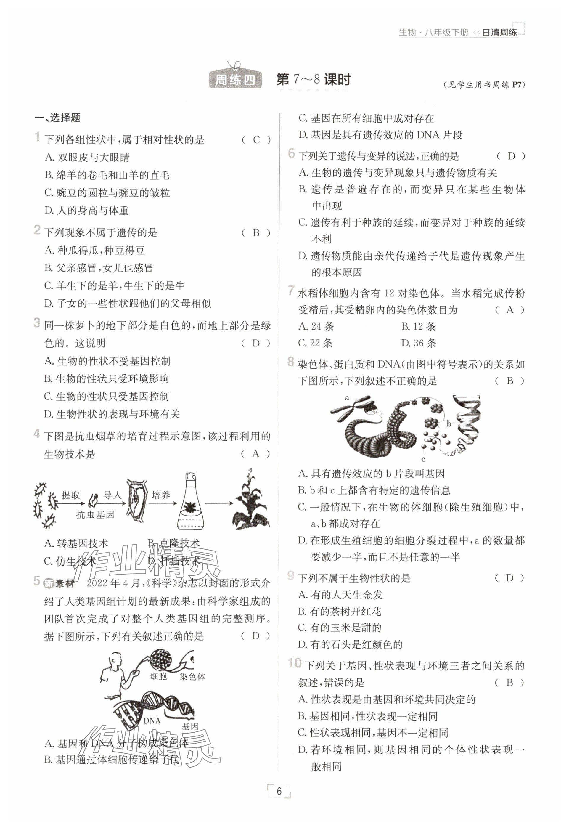 2025年日清周練八年級生物下冊人教版&nbsp;參考答案第6頁