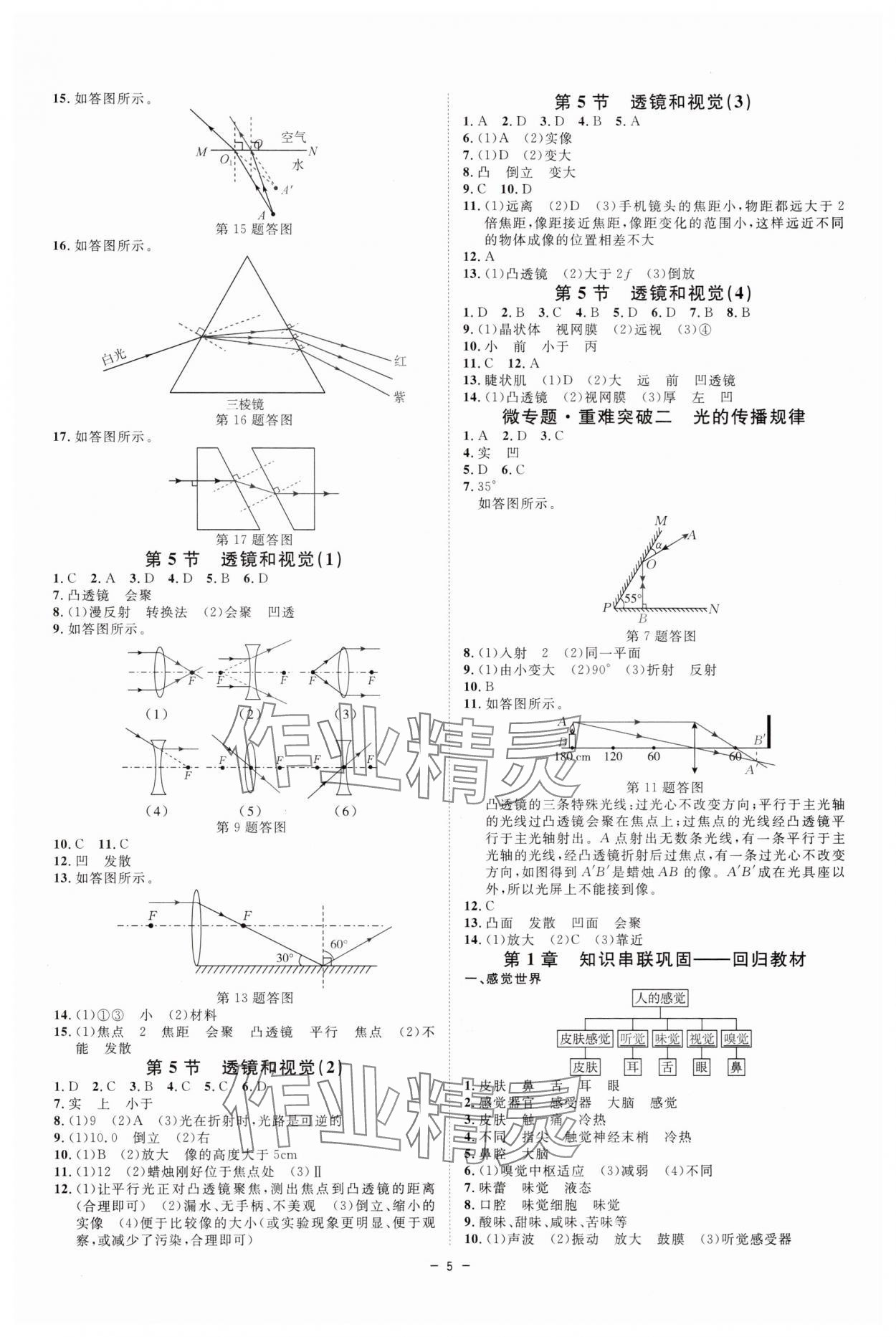 2025年全效學習八年級科學上冊浙教版&nbsp;參考答案第4頁