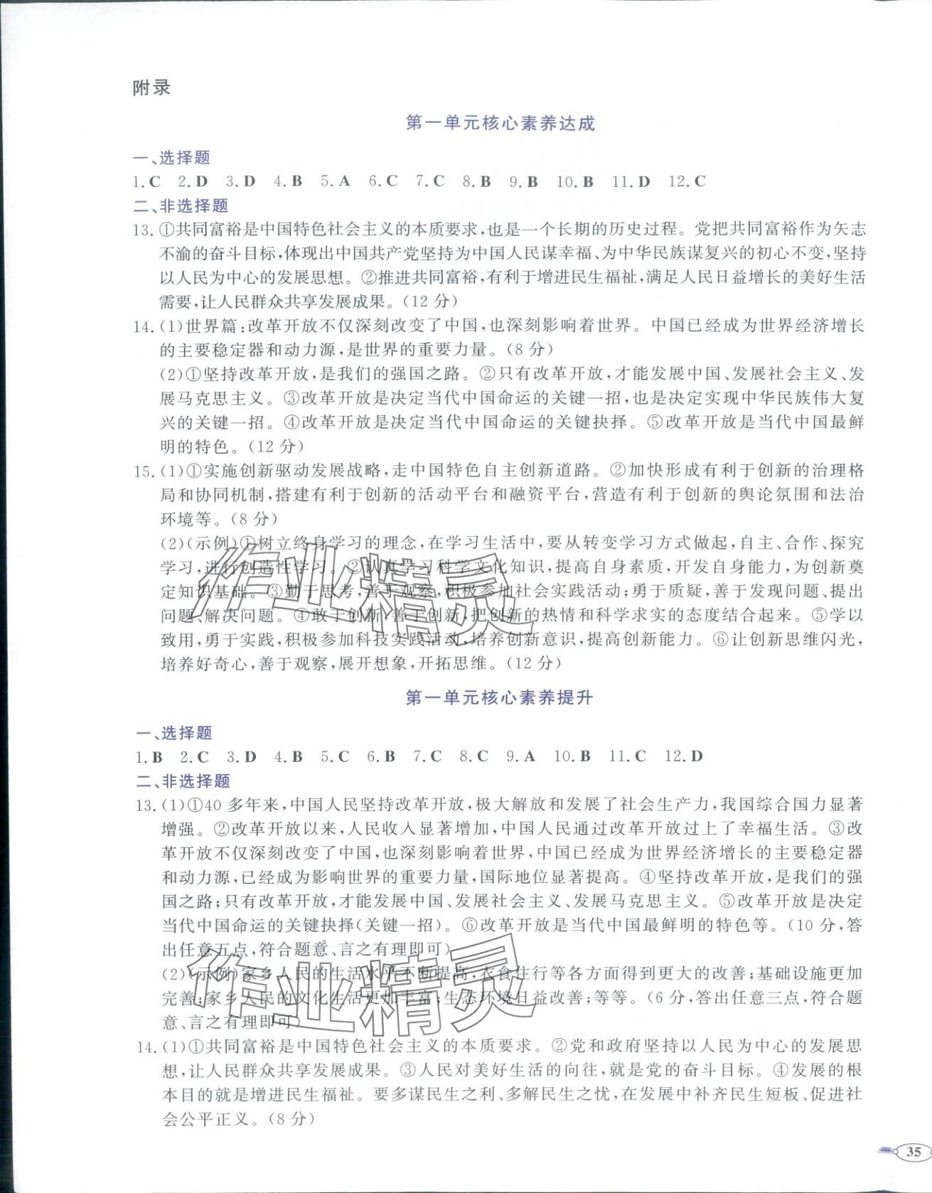 2025年同步优学核心素养评价九年级道德与法治上册人教版 第1页