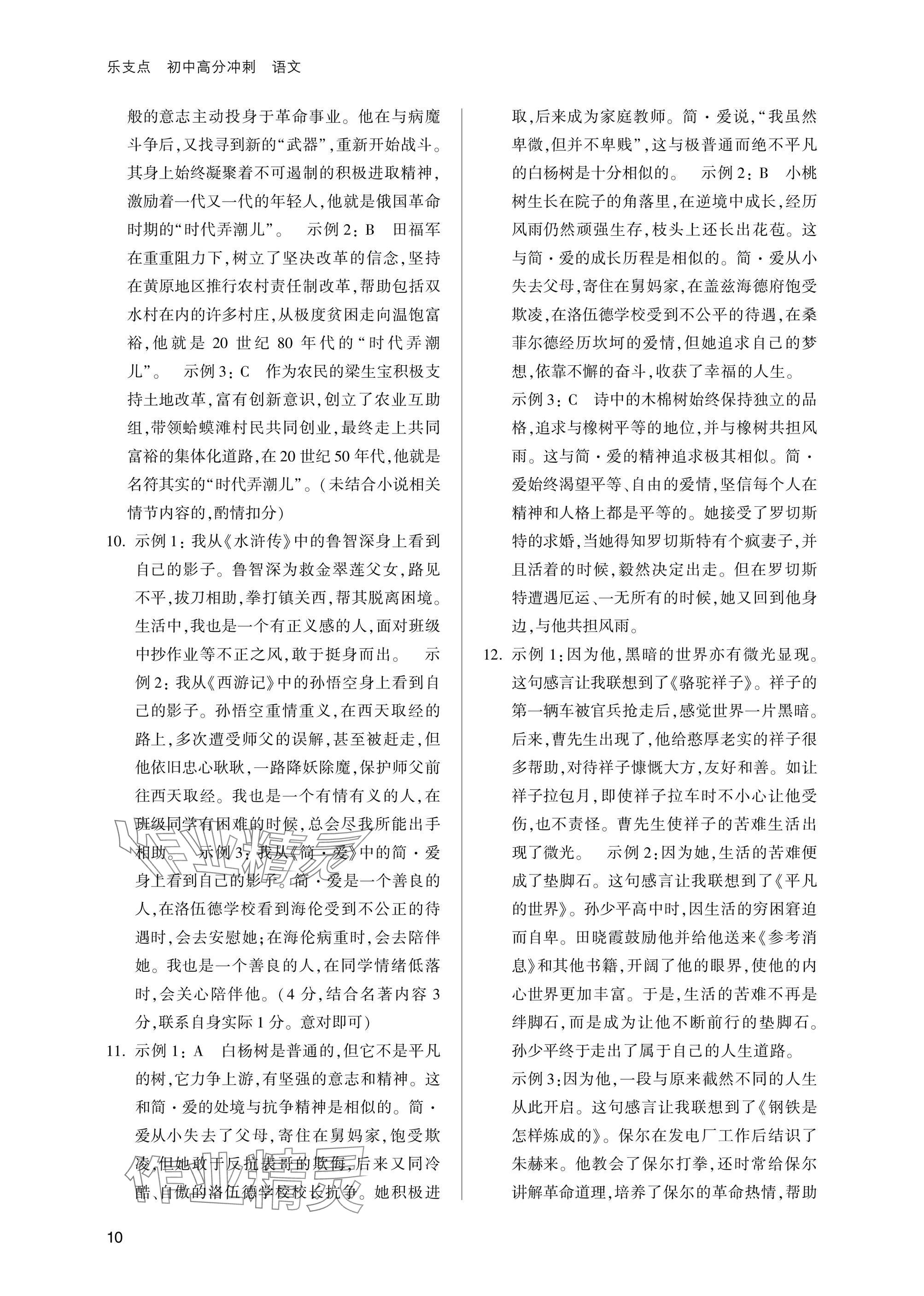 2025年乐支点初中高分冲刺语文&nbsp;参考答案第10页