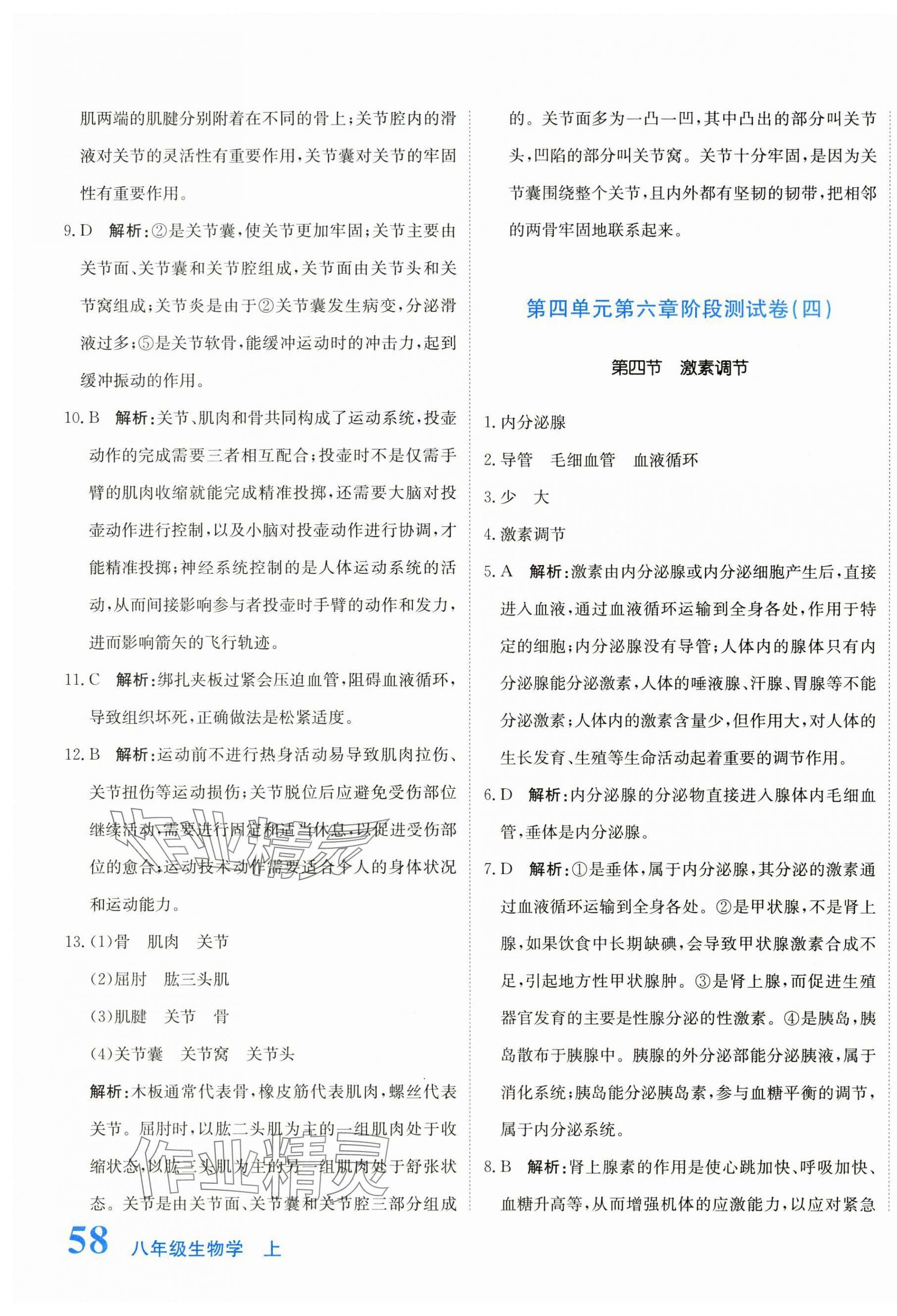 2025年新目标检测同步单元测试卷八年级生物上册人教版 第3页