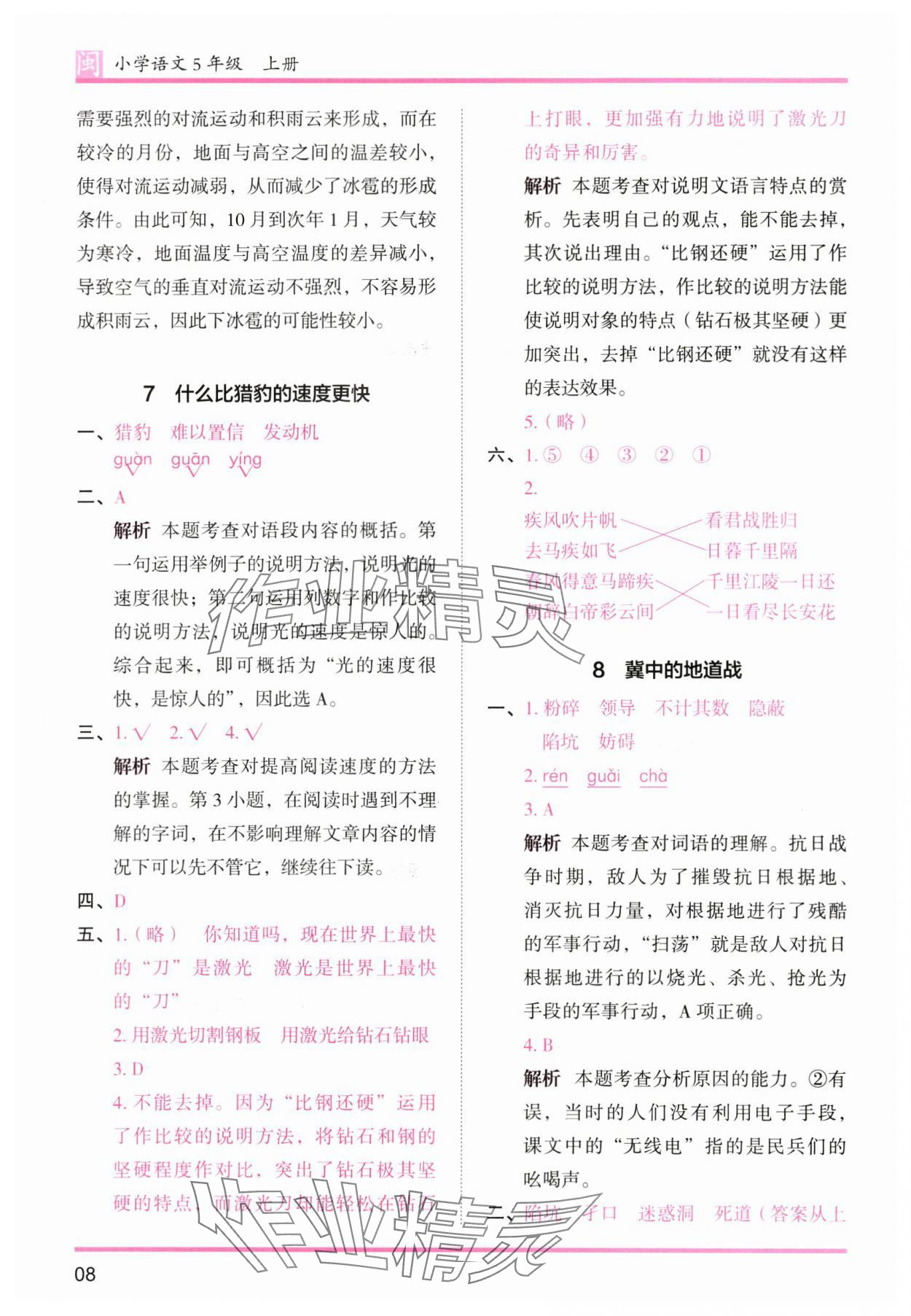 2025年木頭馬分層課課練五年級語文上冊人教版福建專版 第8頁