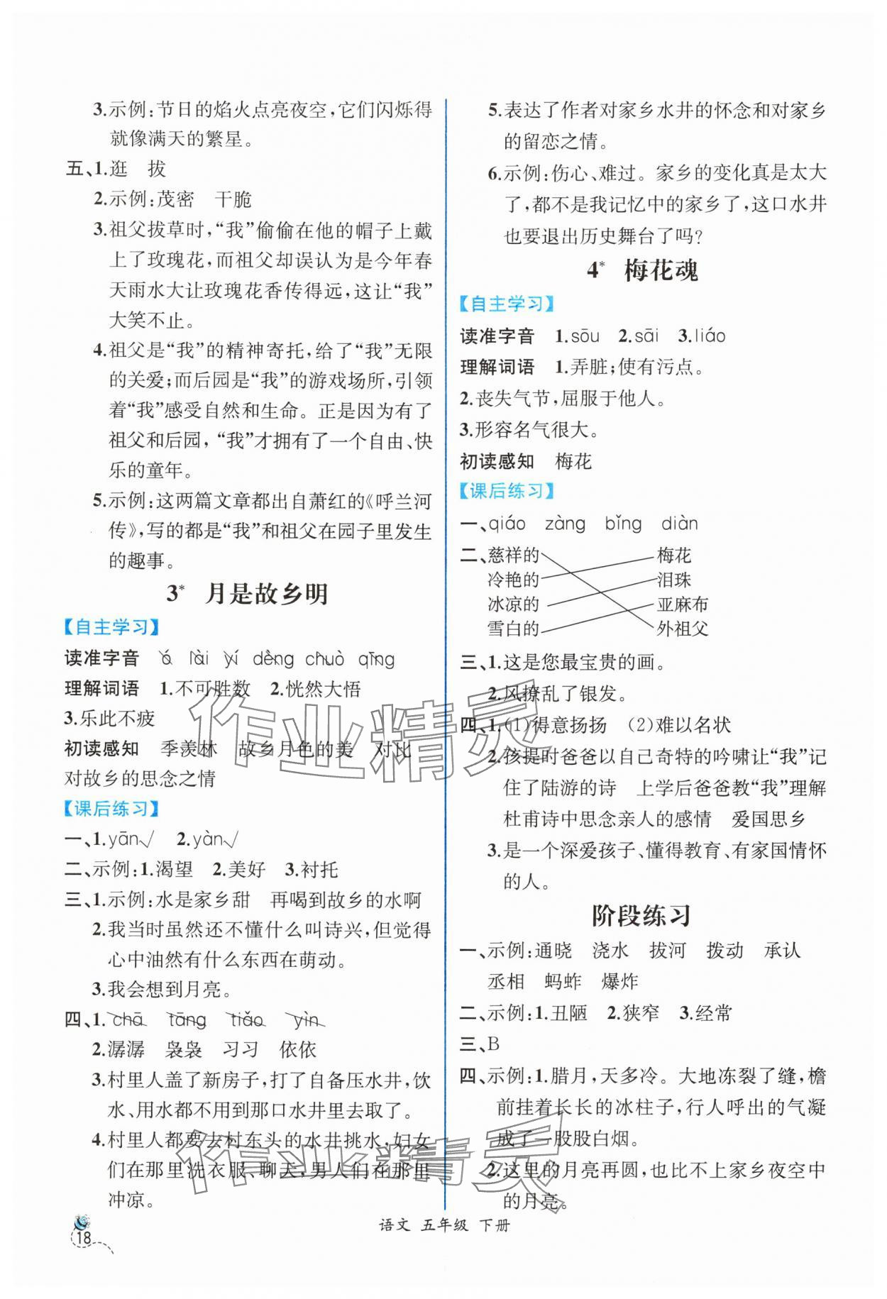 2024年人教金學典同步解析與測評五年級語文下冊人教版云南專版 第2頁