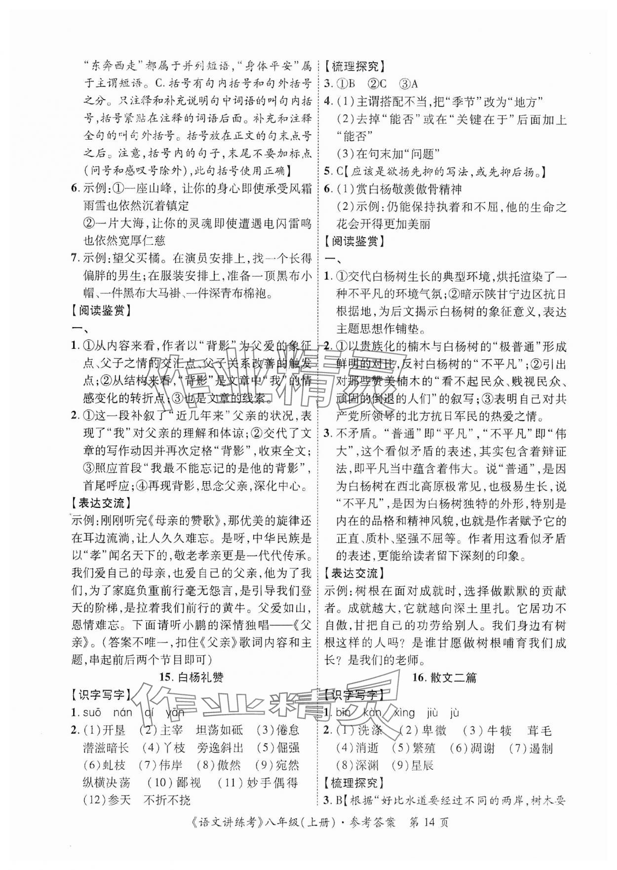 2023年語文講練考八年級(jí)上冊(cè)人教版 參考答案第16頁