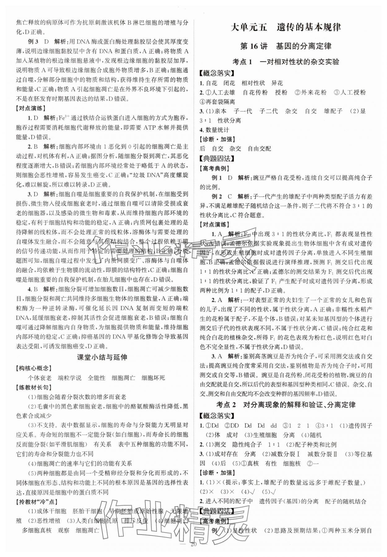 2025年高考一輪復習南方鳳凰臺生物廣東專版 第20頁