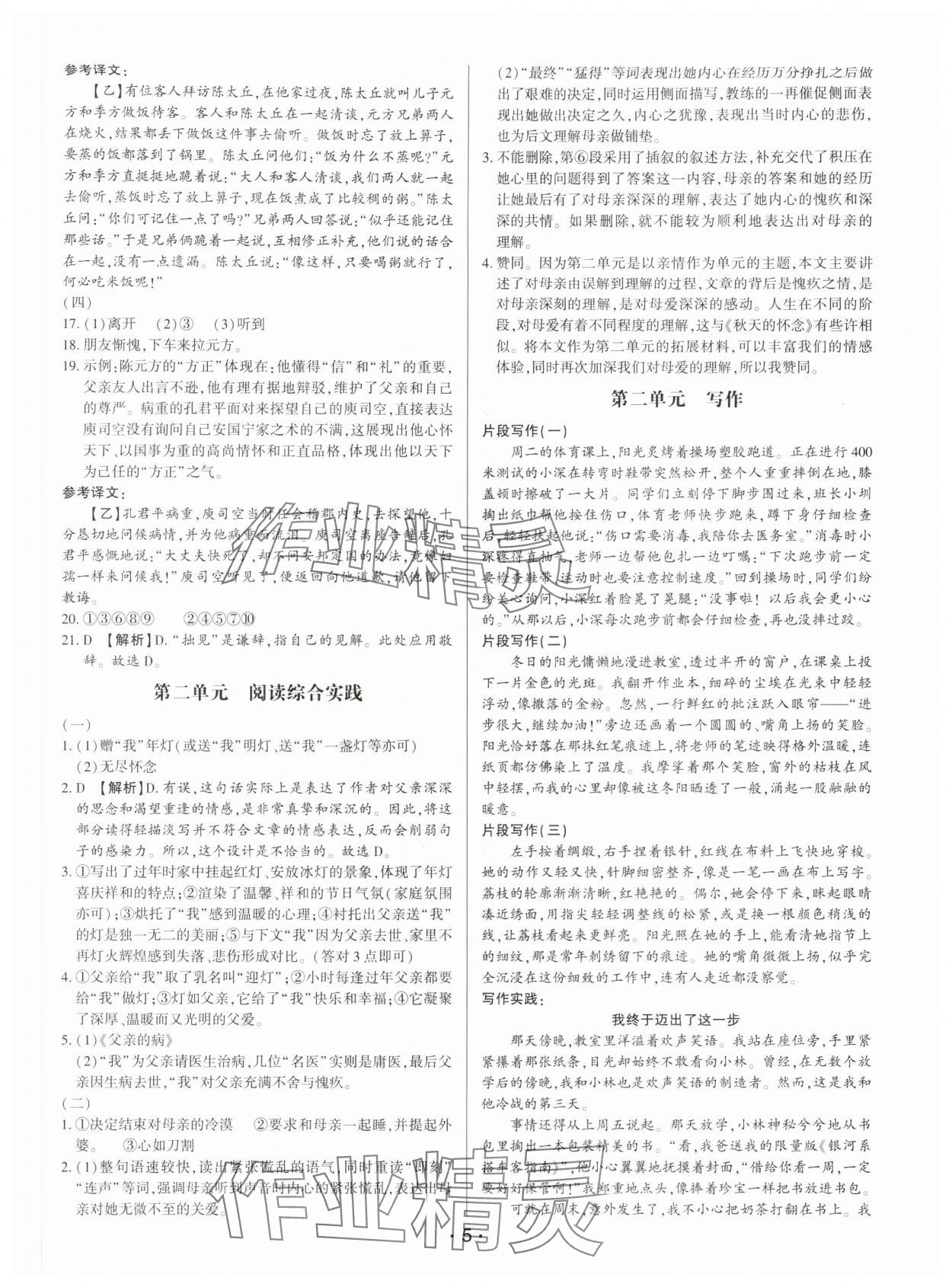 2025年基础精练七年级语文上册人教版深圳专版 第5页