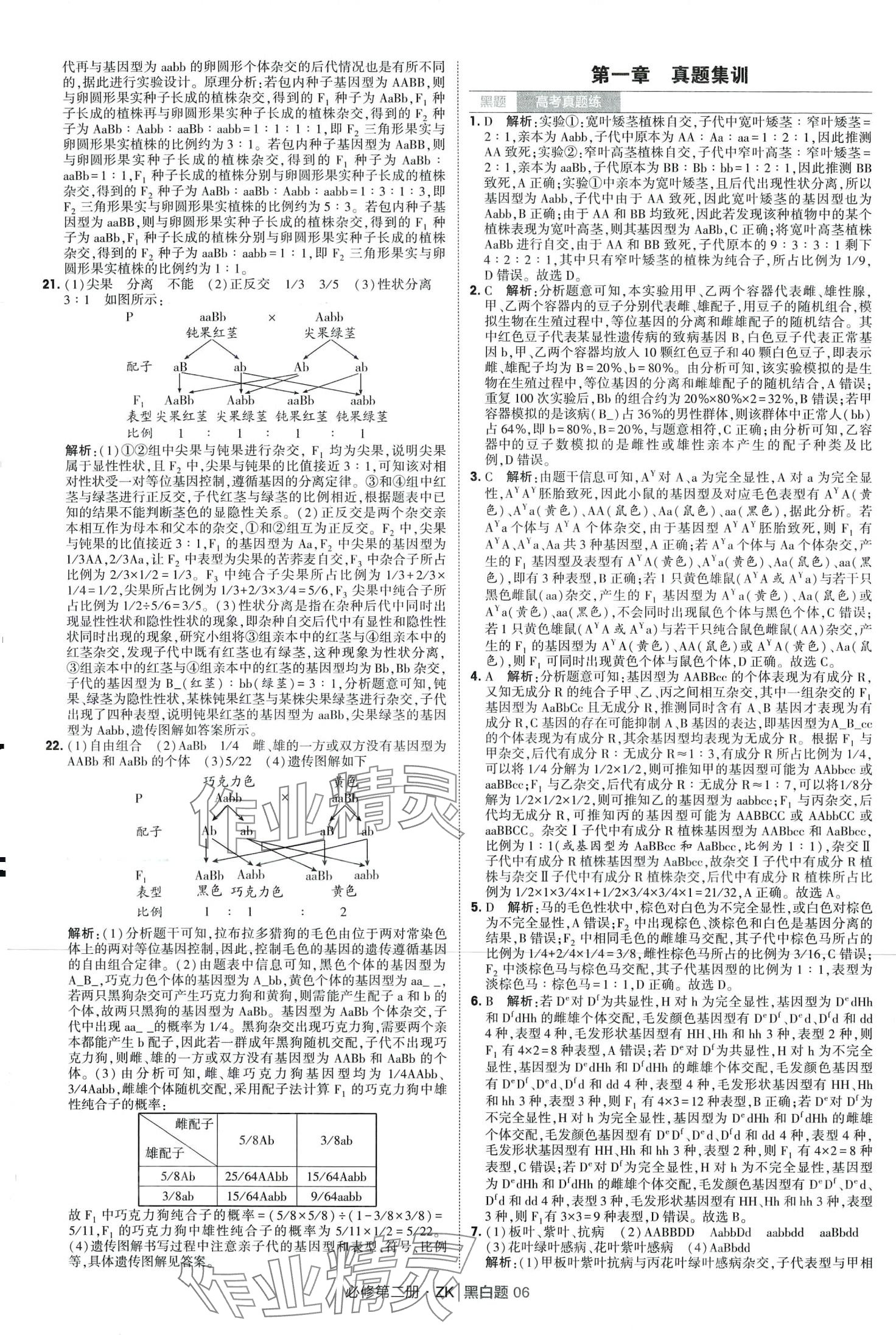 2024年經(jīng)綸學(xué)典黑白題高中生物必修第二冊浙科版 第6頁