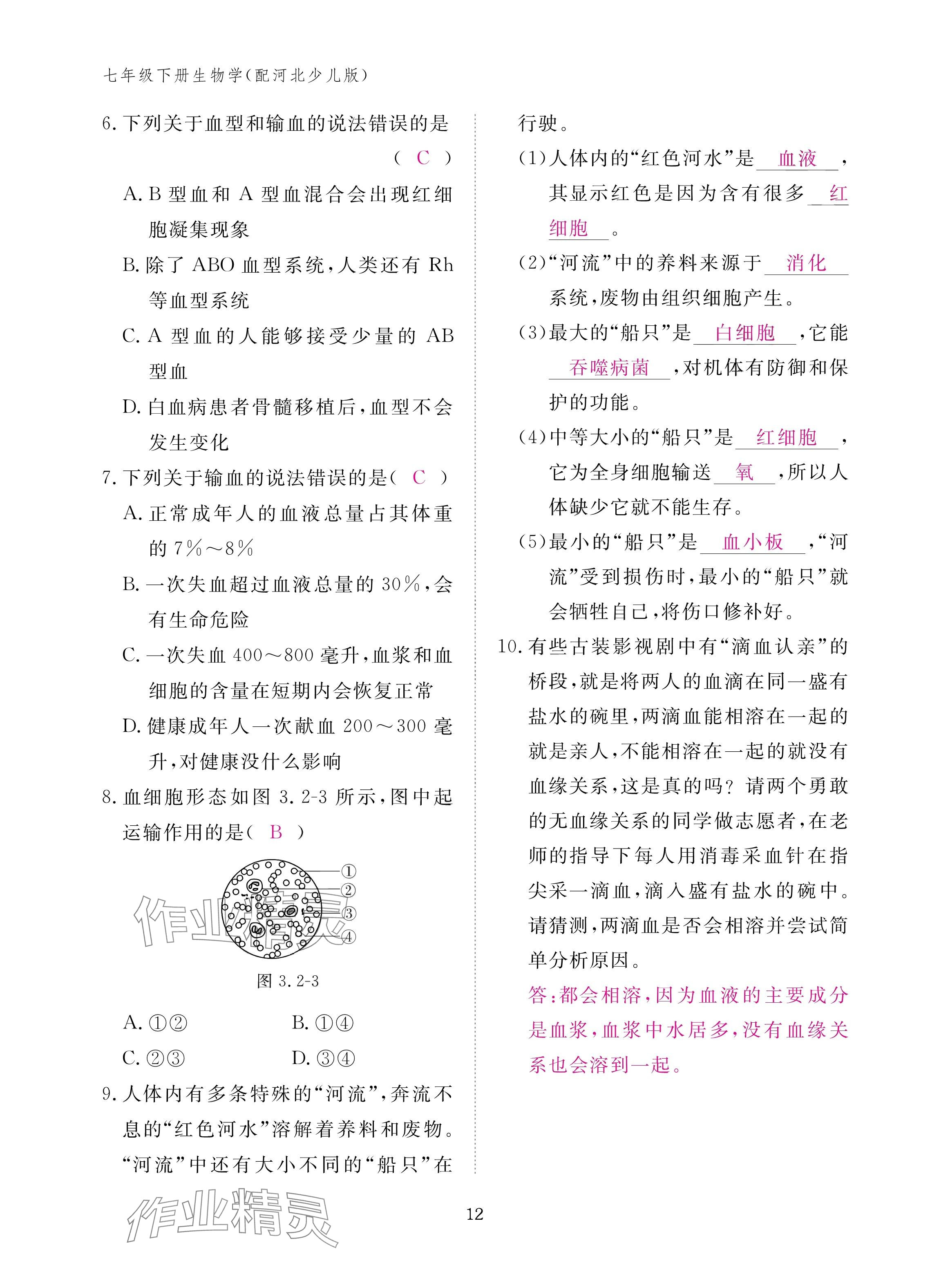 2025年作業(yè)本江西教育出版社七年級(jí)生物下冊(cè)冀少版 參考答案第12頁