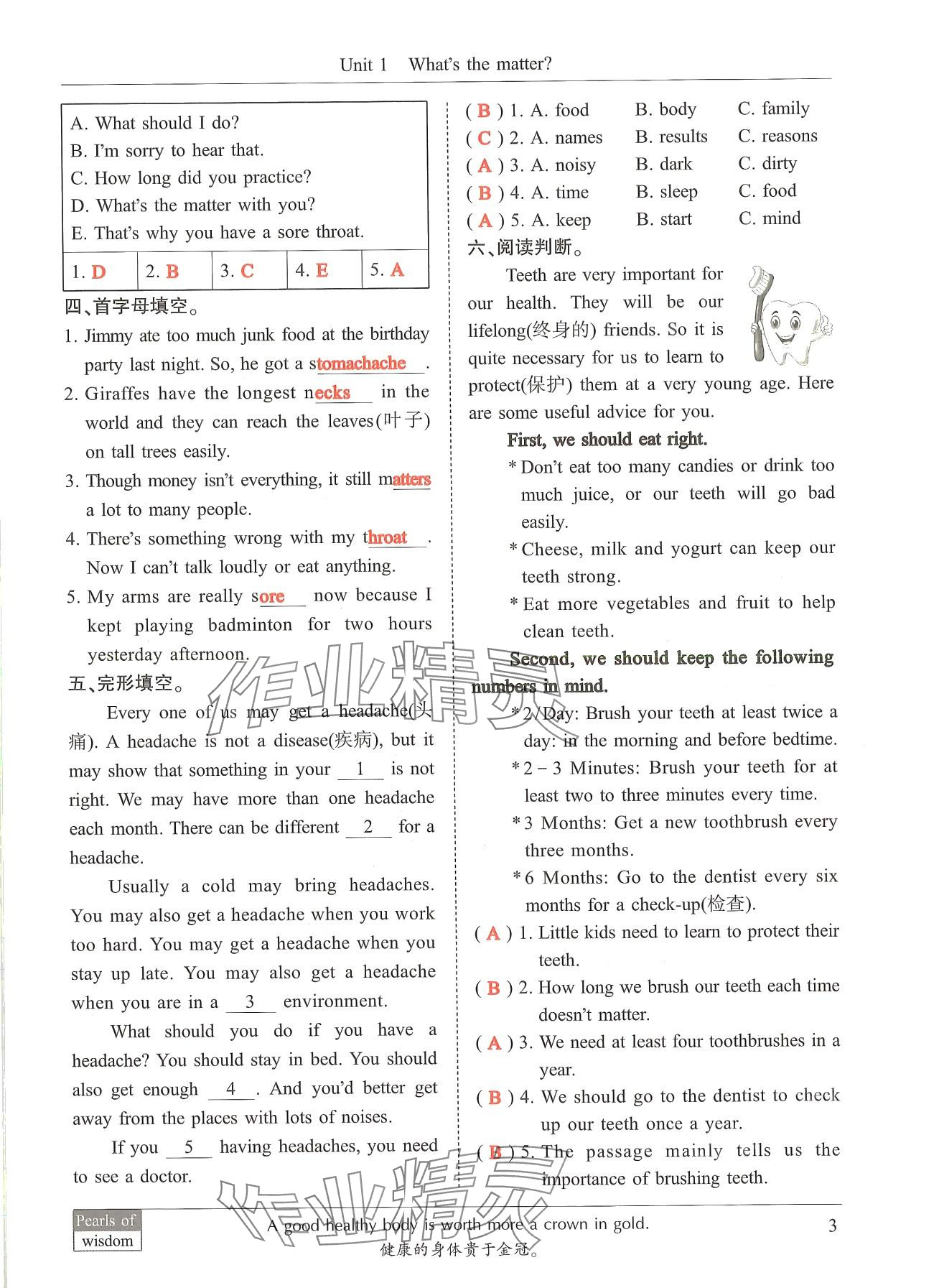 2024年新視覺八年級(jí)英語(yǔ)下冊(cè)人教版 第3頁(yè)