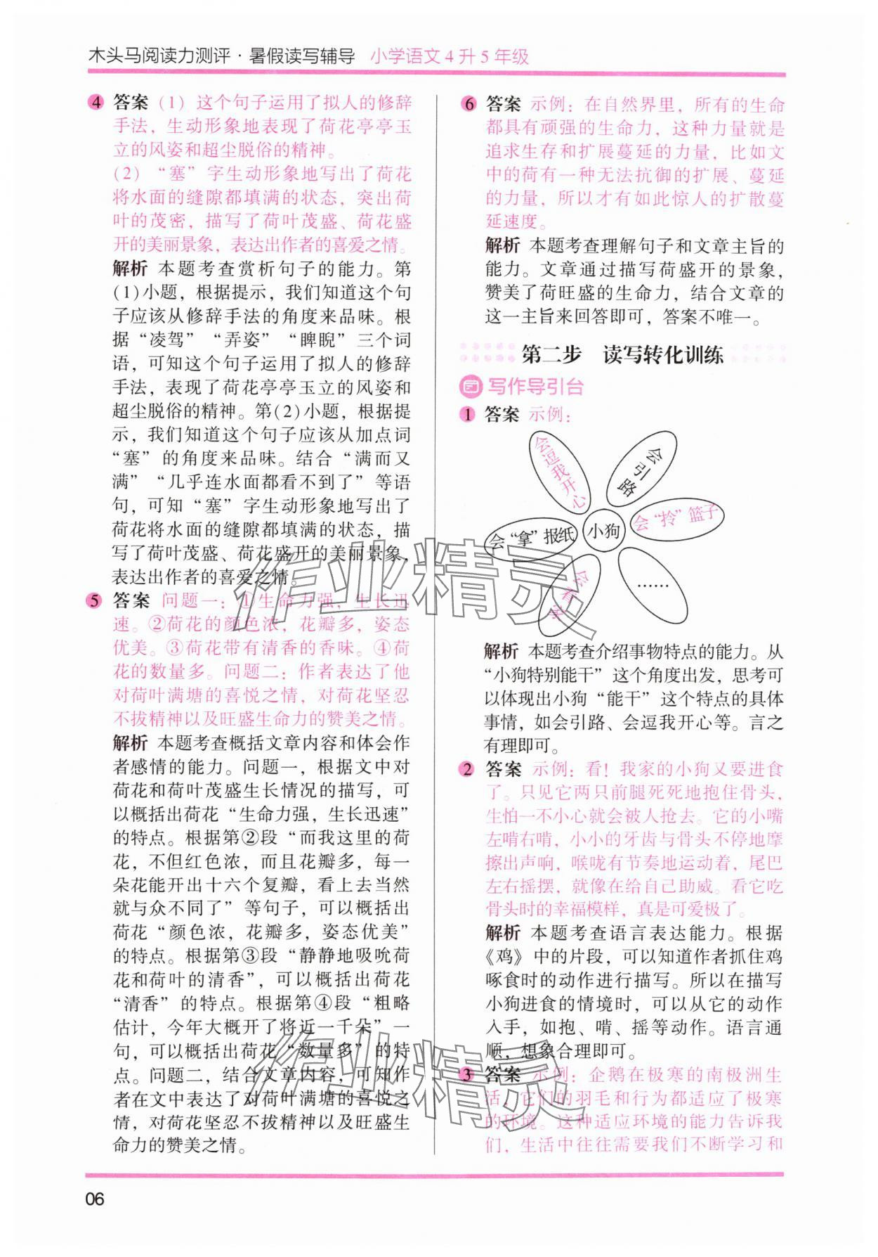 2024年木头马暑假读写辅导四升五语文&nbsp;参考答案第6页