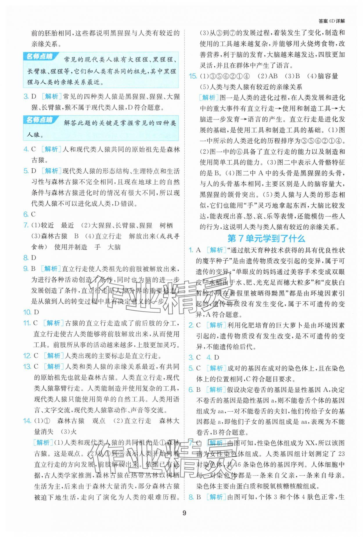 2025年课时训练江苏人民出版社八年级生物下册苏科版 第9页