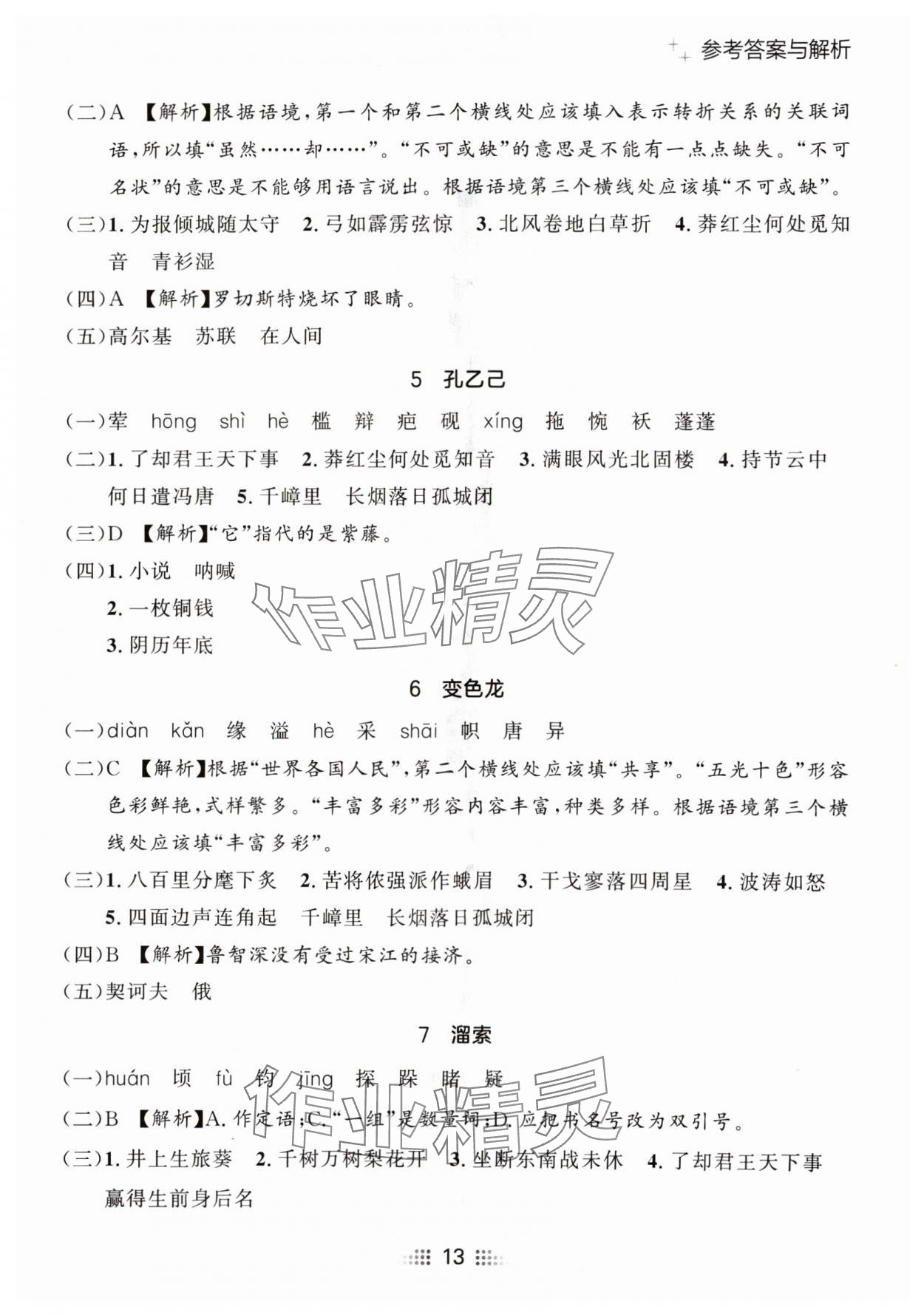 2024年點(diǎn)石成金金牌奪冠九年級(jí)語(yǔ)文全一冊(cè)人教版遼寧專版 參考答案第13頁(yè)