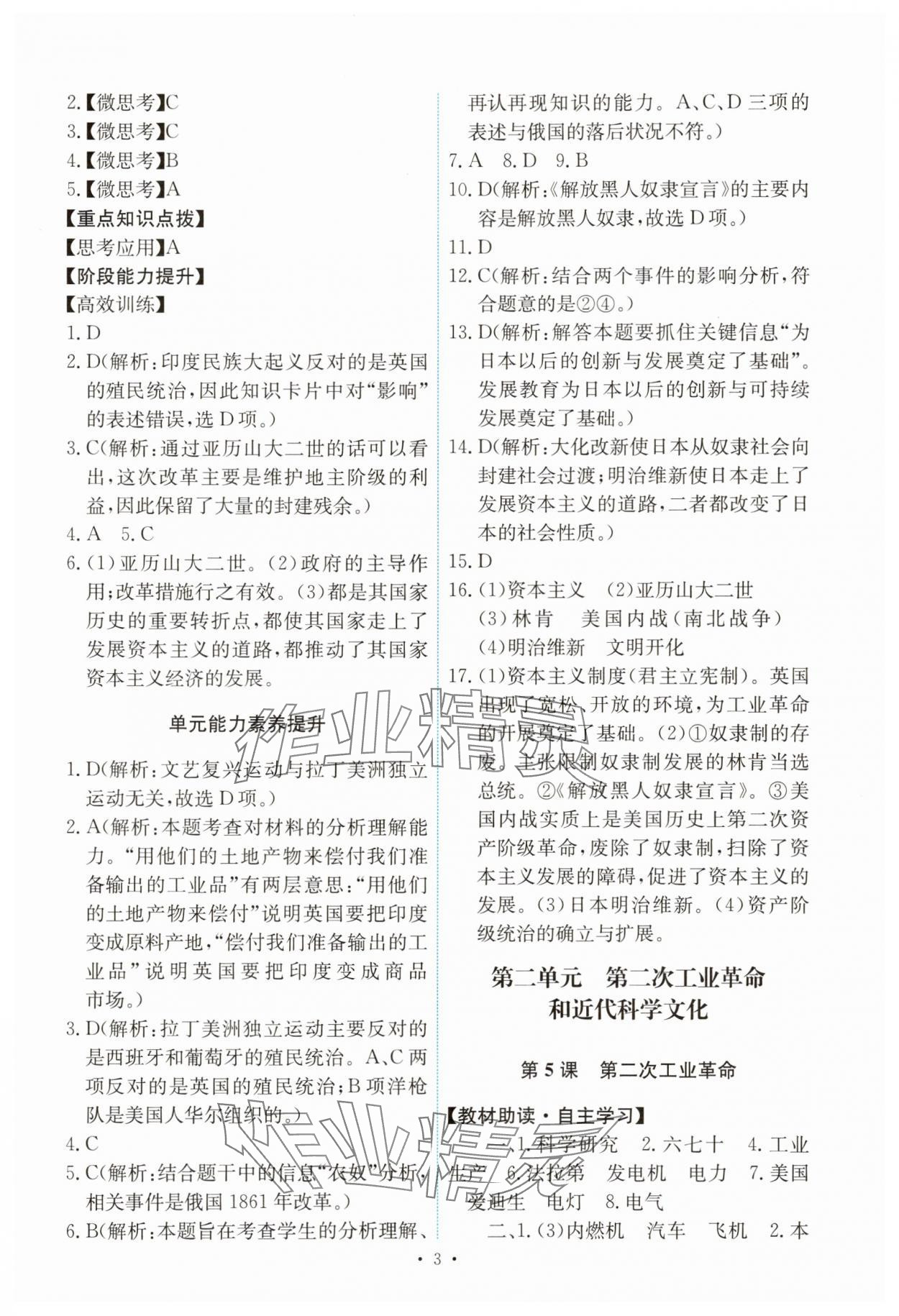 2025年能力培養與測試九年級歷史下冊人教版 第3頁
