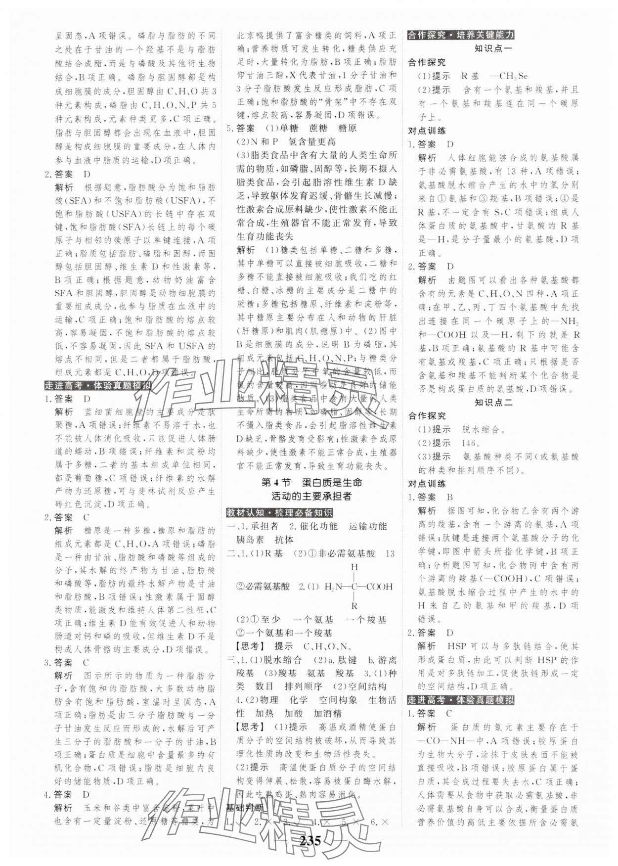 2023年高考調(diào)研衡水重點中學(xué)新教材同步學(xué)案高中生物必修1人教版 第5頁