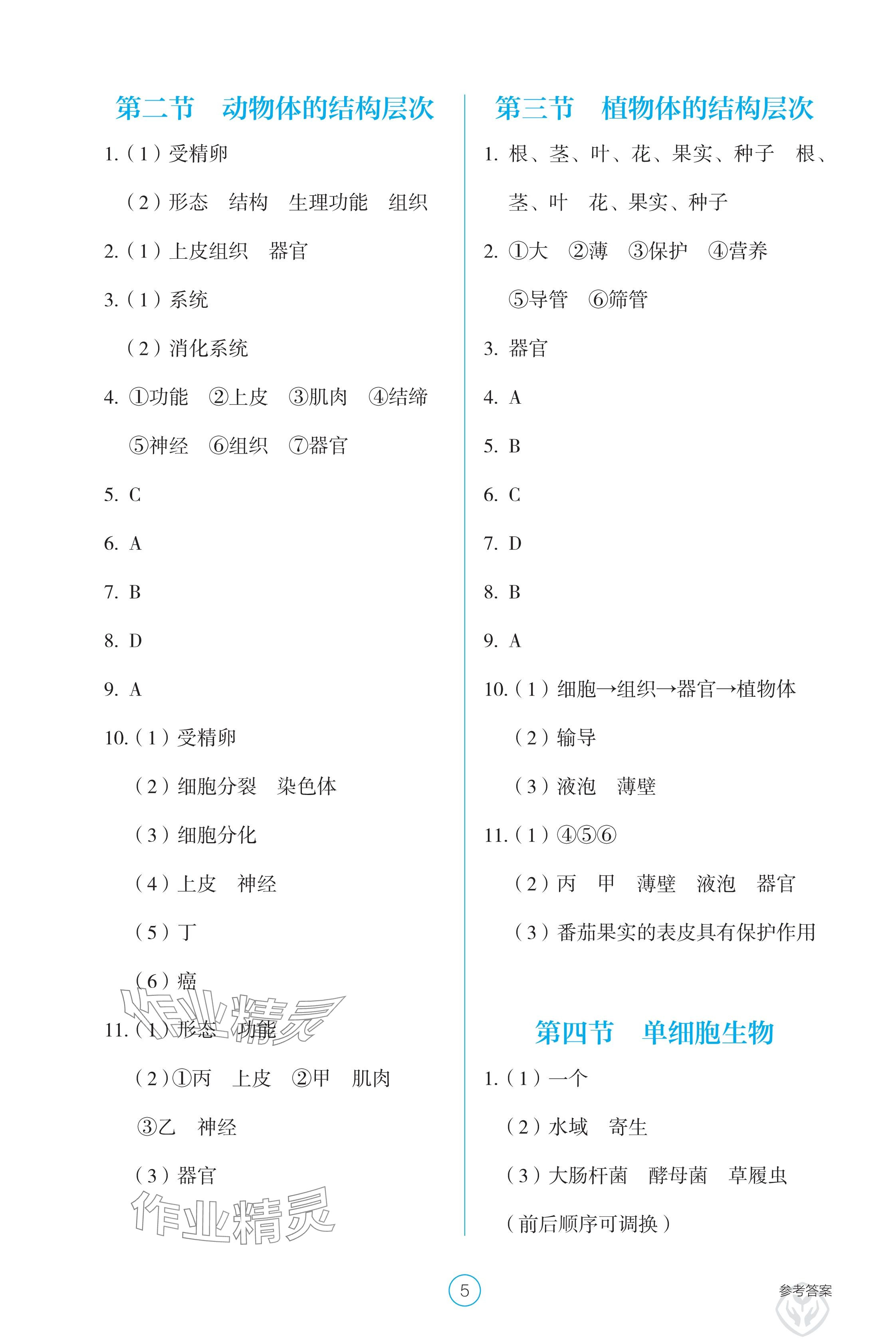 2024年学生基础性作业七年级生物上册人教版 参考答案第5页