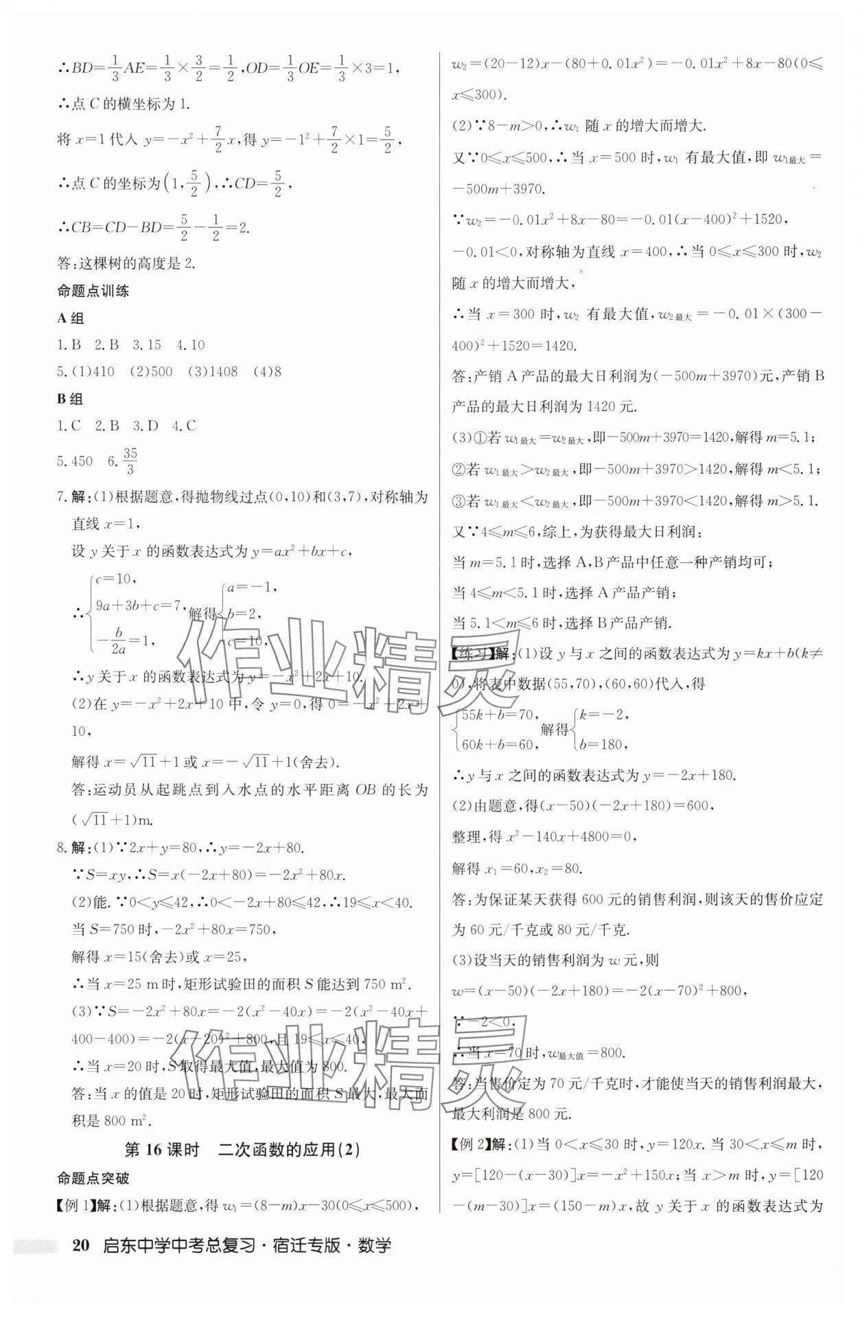 2025年啟東中學中考總復習數學中考宿遷專版 第20頁