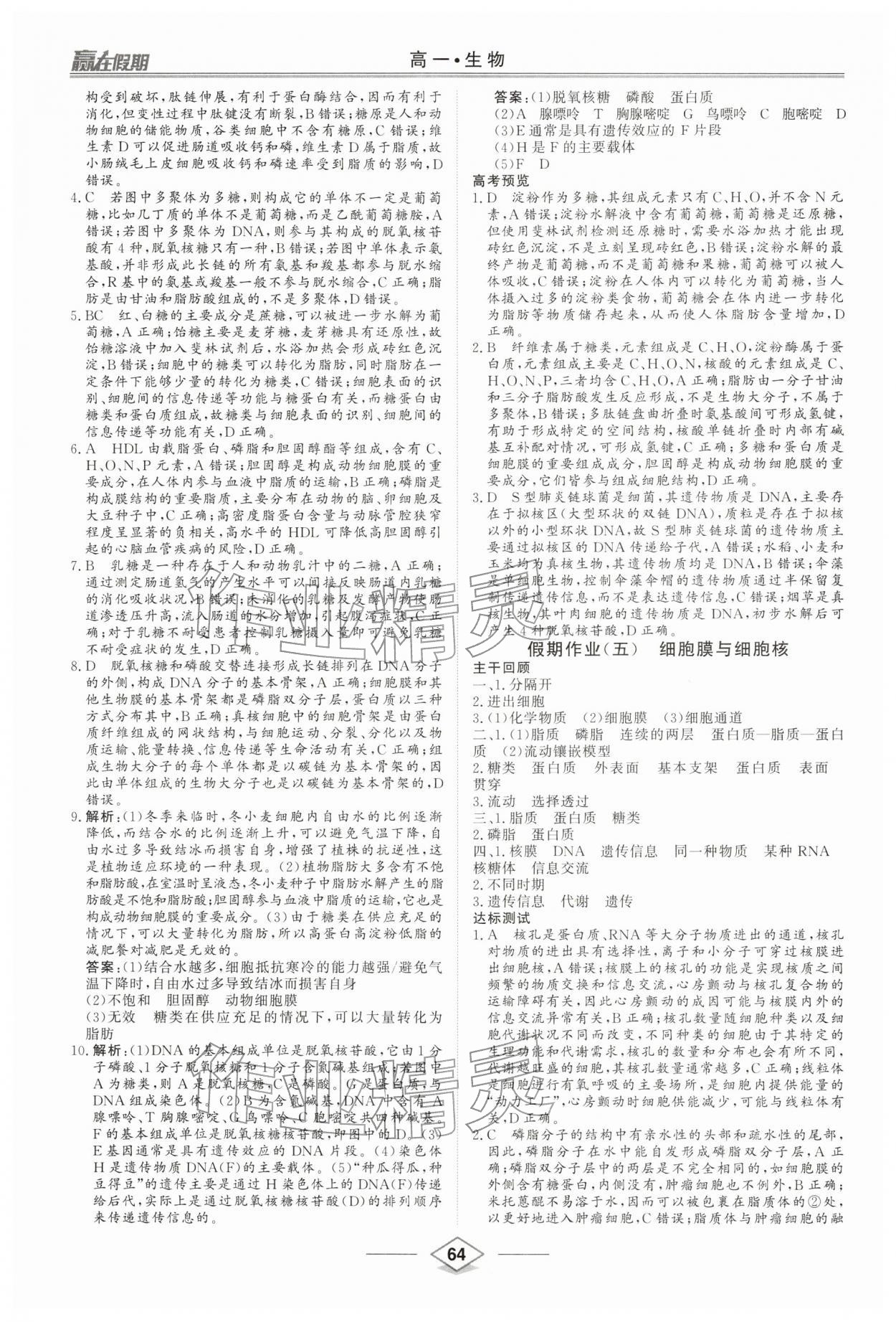 2026年赢在假期沈阳出版社高一生物&nbsp;第4页