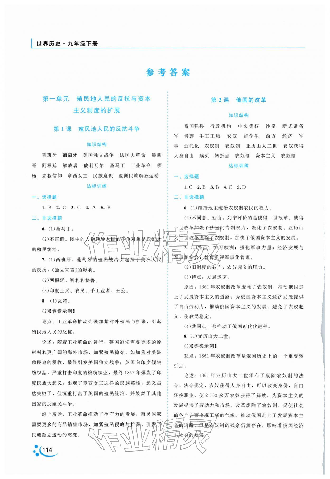 2026年新课程复习与提高九年级历史下册人教版&nbsp;参考答案第1页