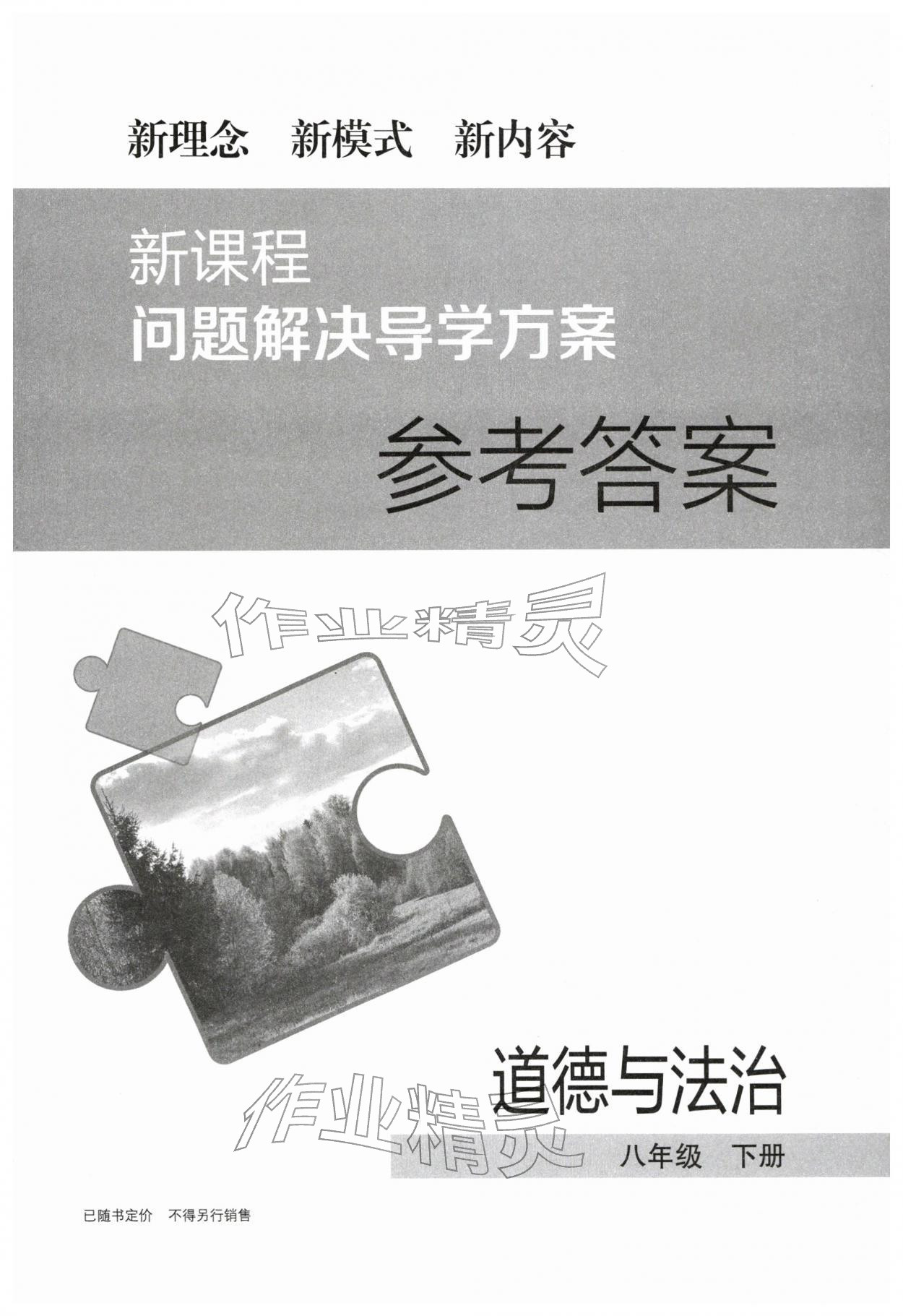 2026年新课程问题解决导学方案八年级道德与法治下册人教版&nbsp;第1页